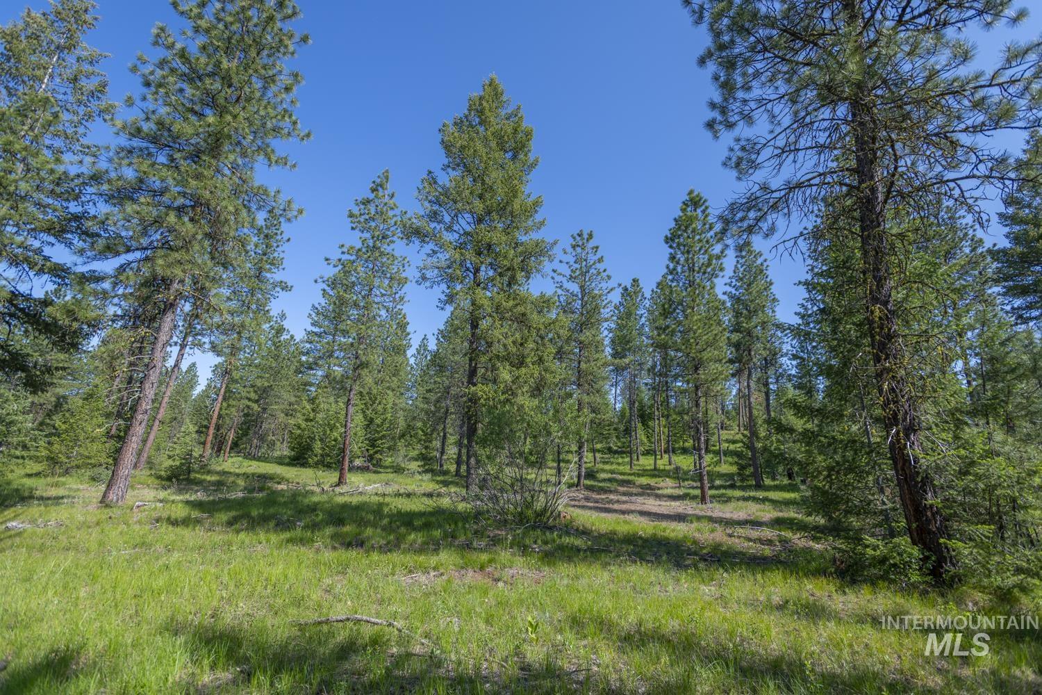 Tbd1 Us-95 Property Photo 5