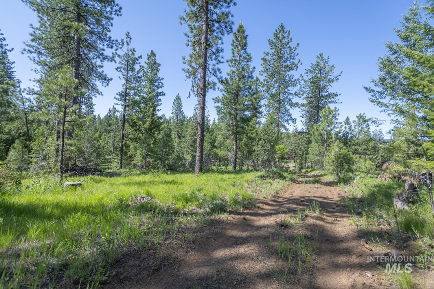 Tbd1 Us-95 Property Photo 6