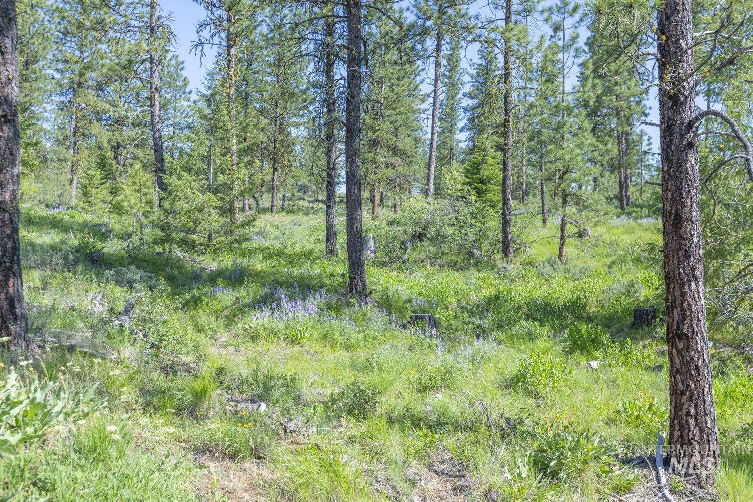 Tbd1 Us-95 Property Photo 7