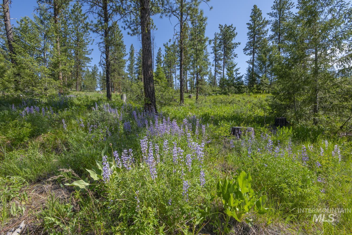 Tbd1 Us-95 Property Photo 8