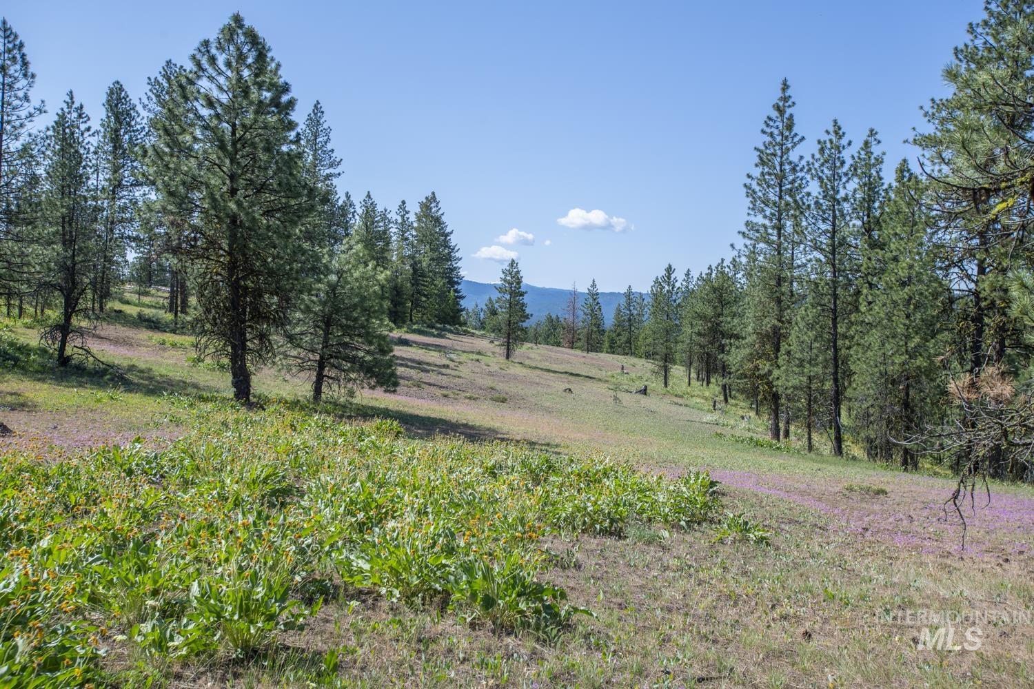 Tbd1 Us-95 Property Photo 9
