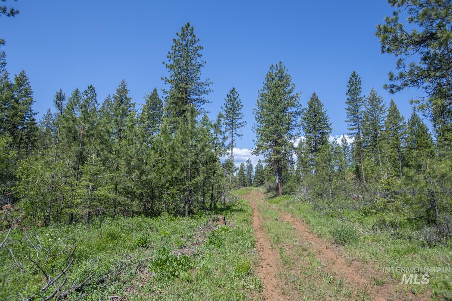 Tbd1 Us-95 Property Photo 10