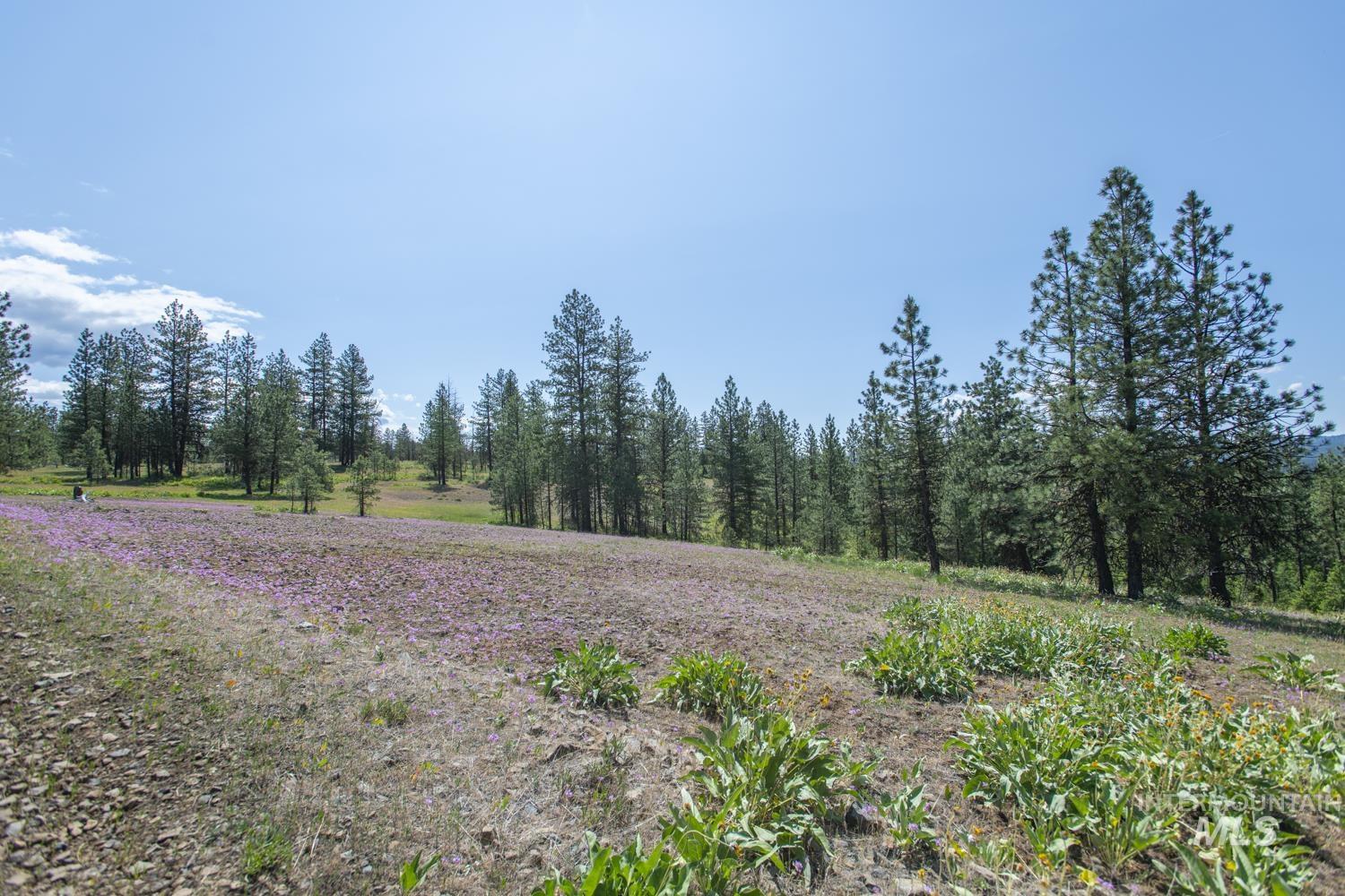 Tbd1 Us-95 Property Photo 11