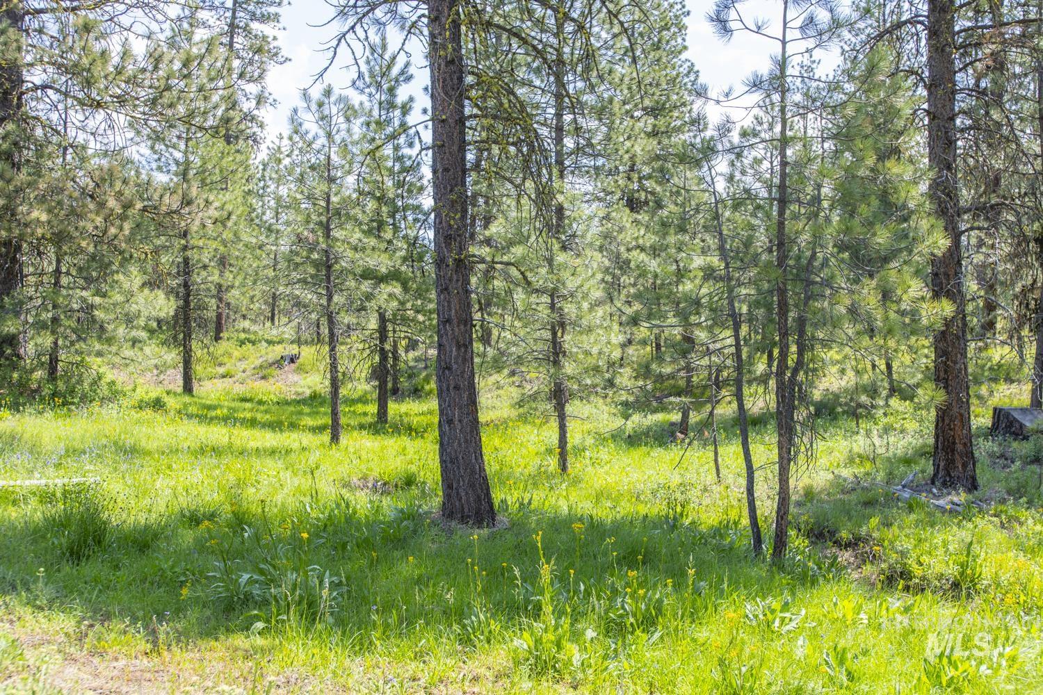 Tbd1 Us-95 Property Photo 12