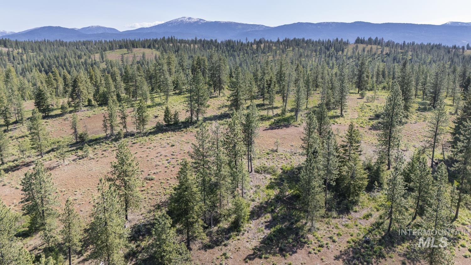 Tbd1 Us-95 Property Photo 15