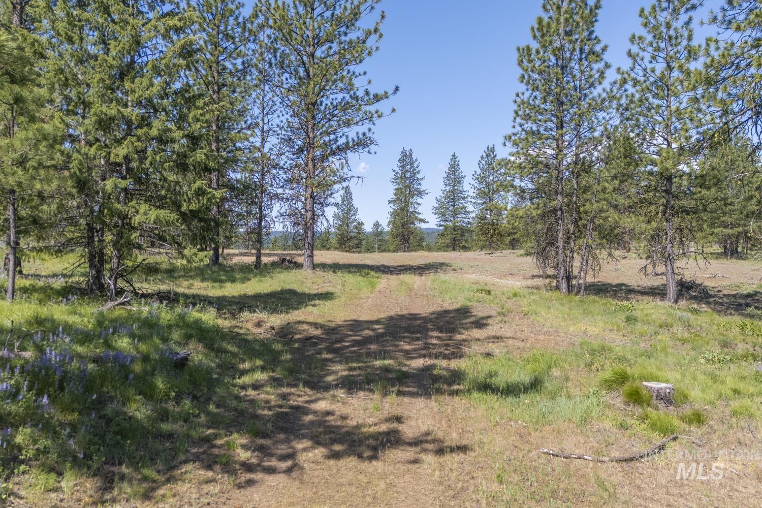 Tbd1 Us-95 Property Photo 17