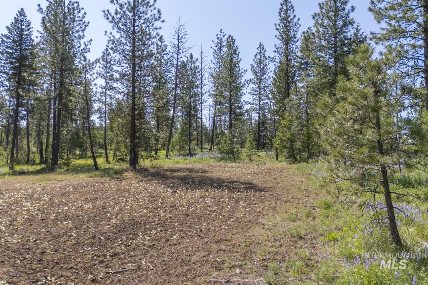 Tbd1 Us-95 Property Photo 19