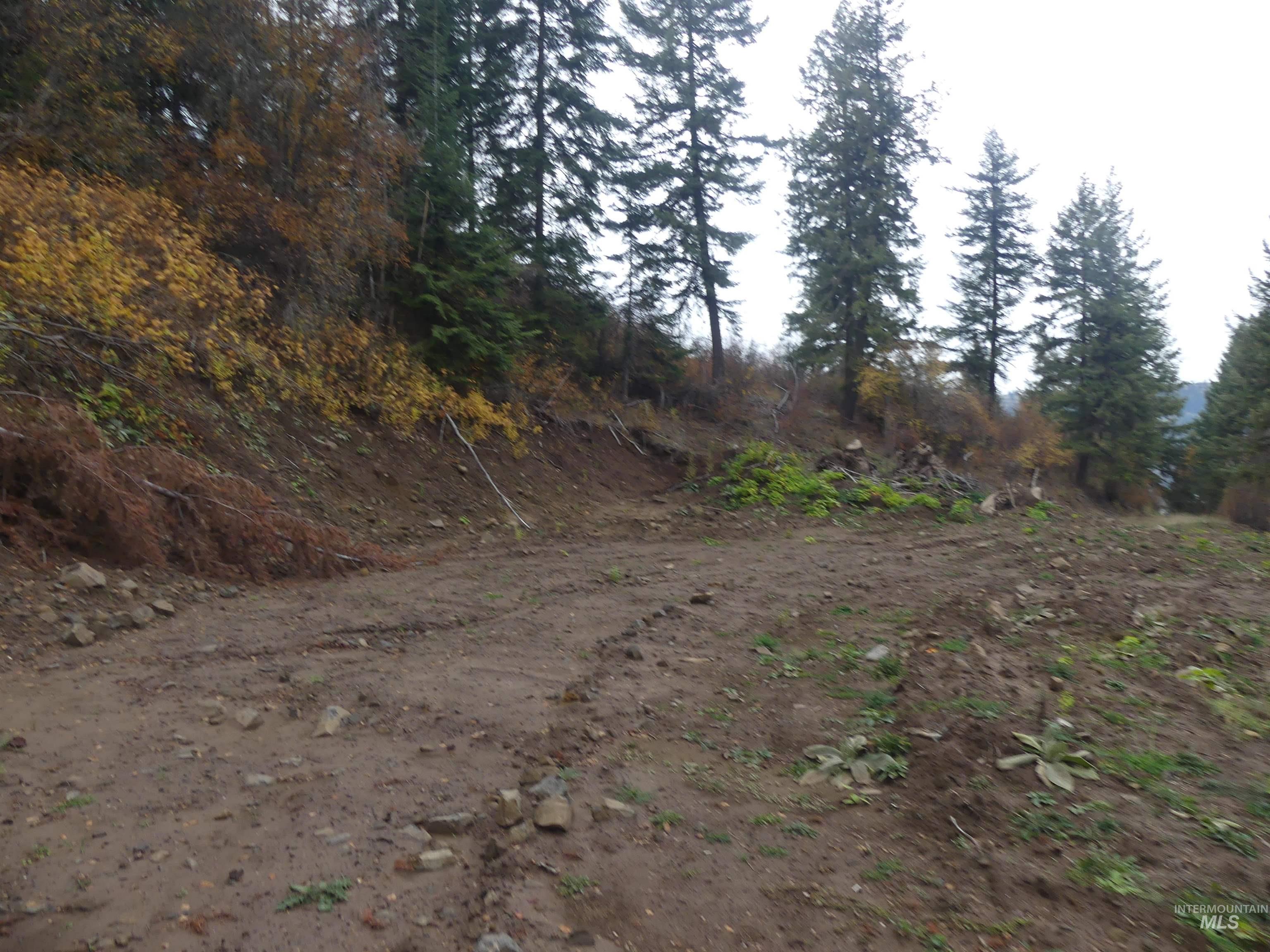 1684 Tranquil Lane (#1) Property Photo 21