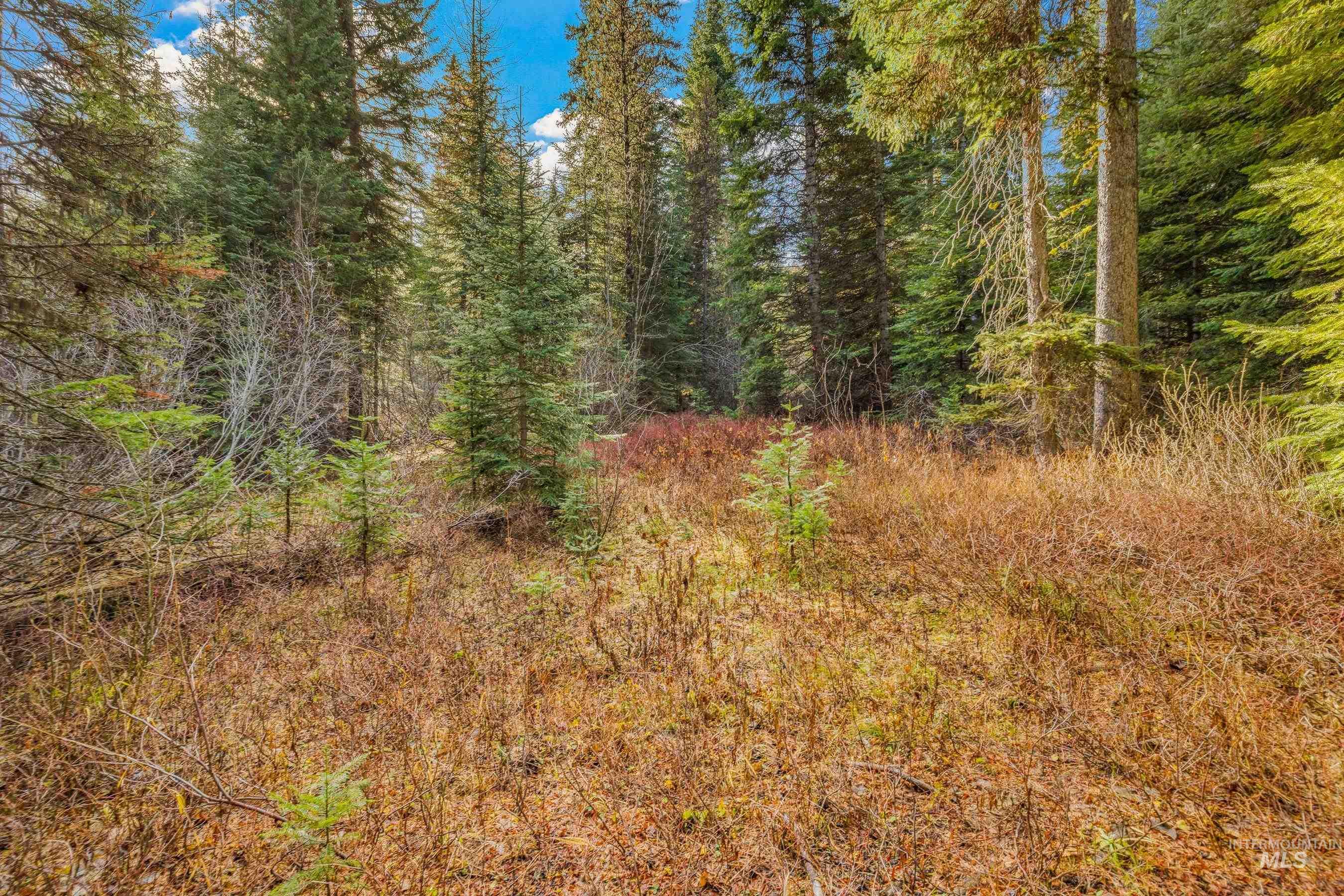150 Pinnacle Property Photo 4