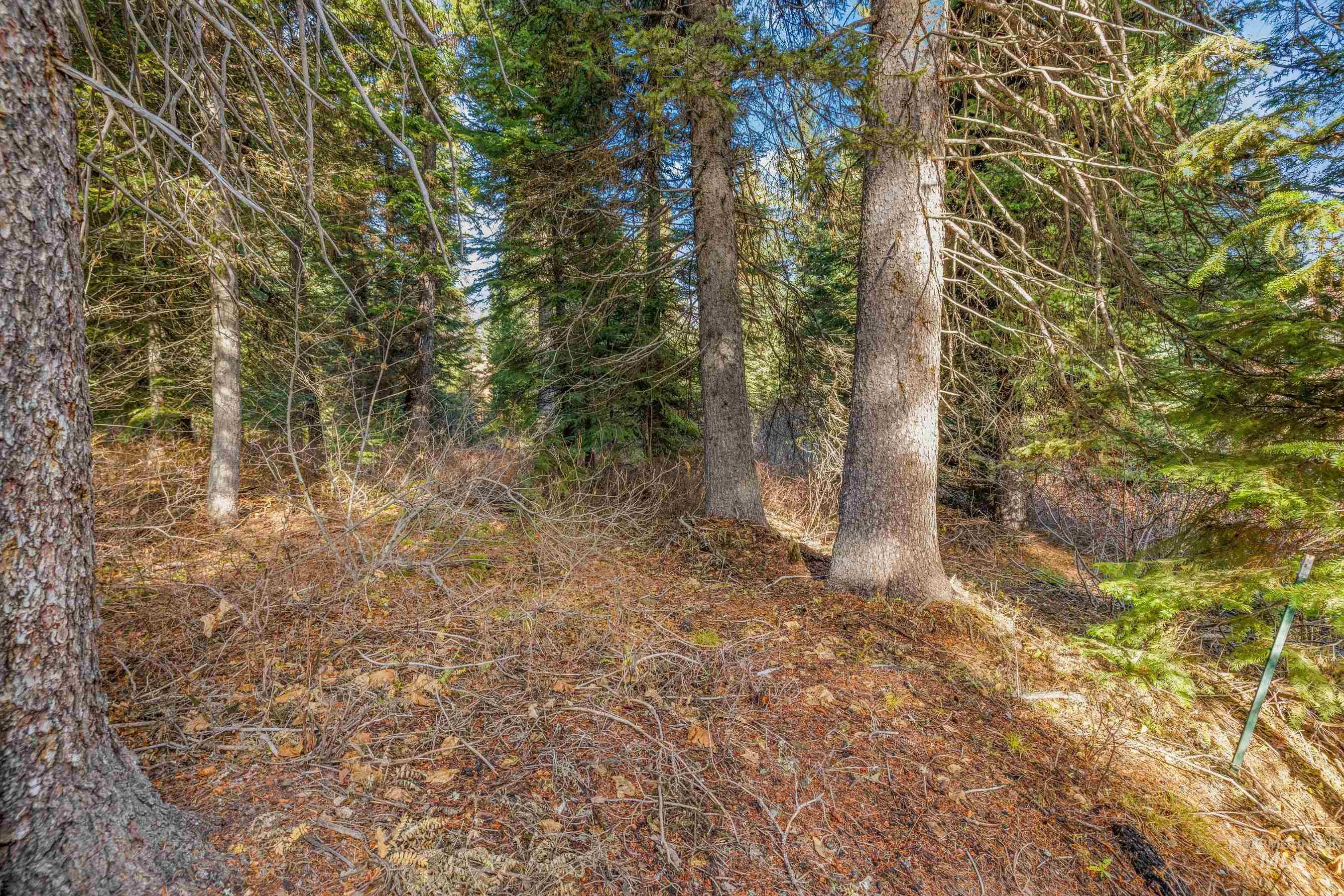 150 Pinnacle Property Photo 18
