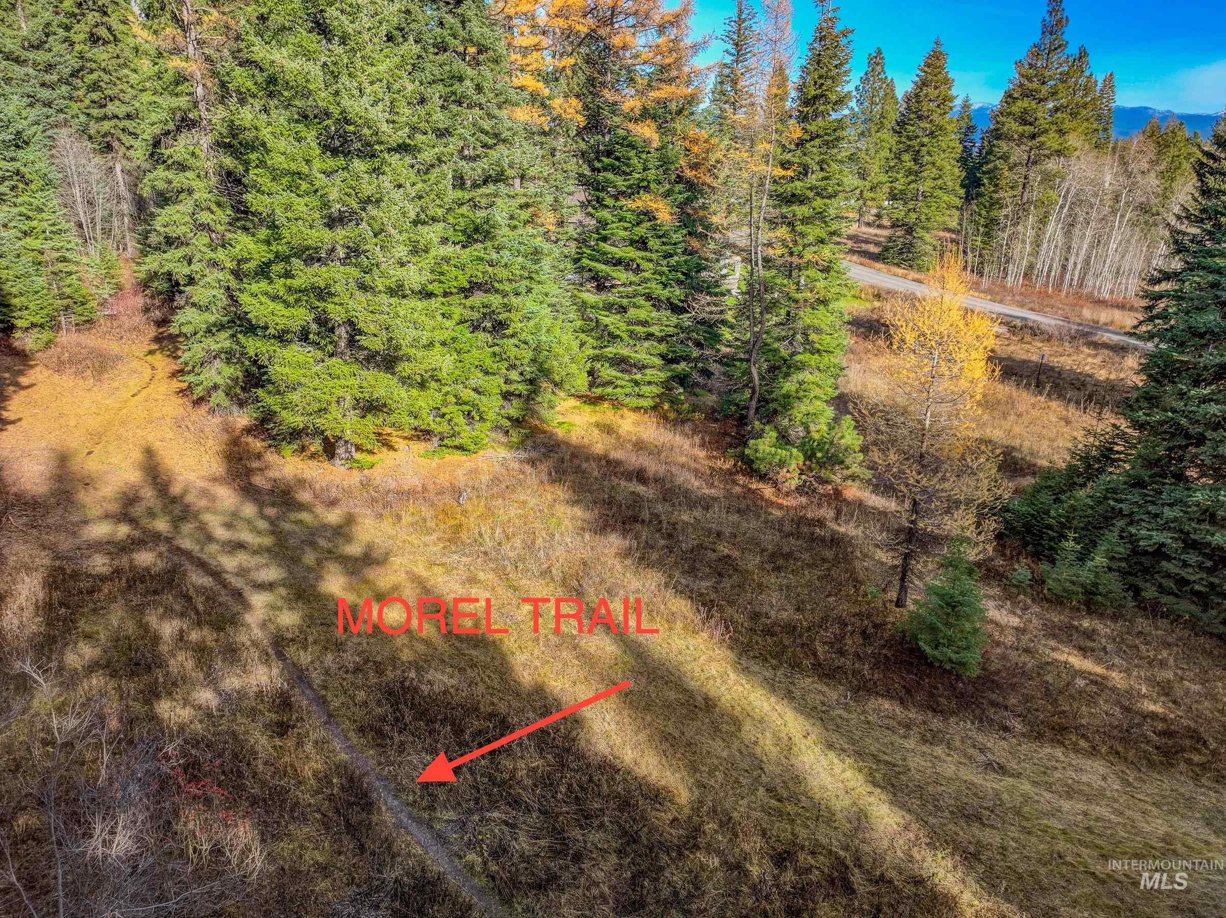 141 Sugarloaf Property Photo 2