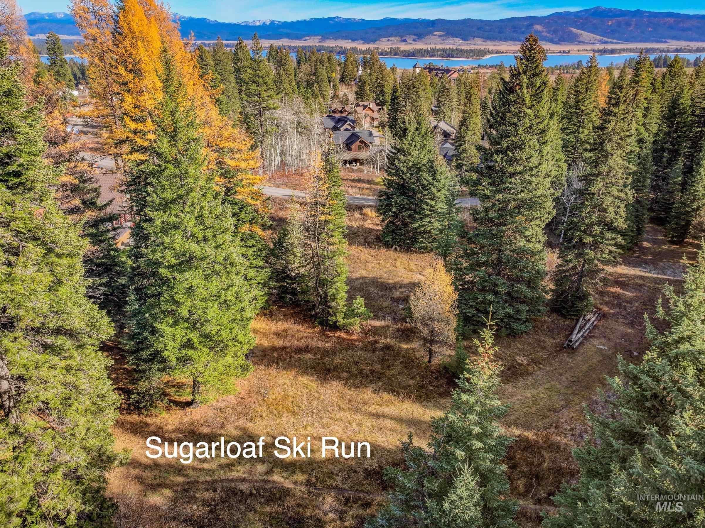 141 Sugarloaf Property Photo 6