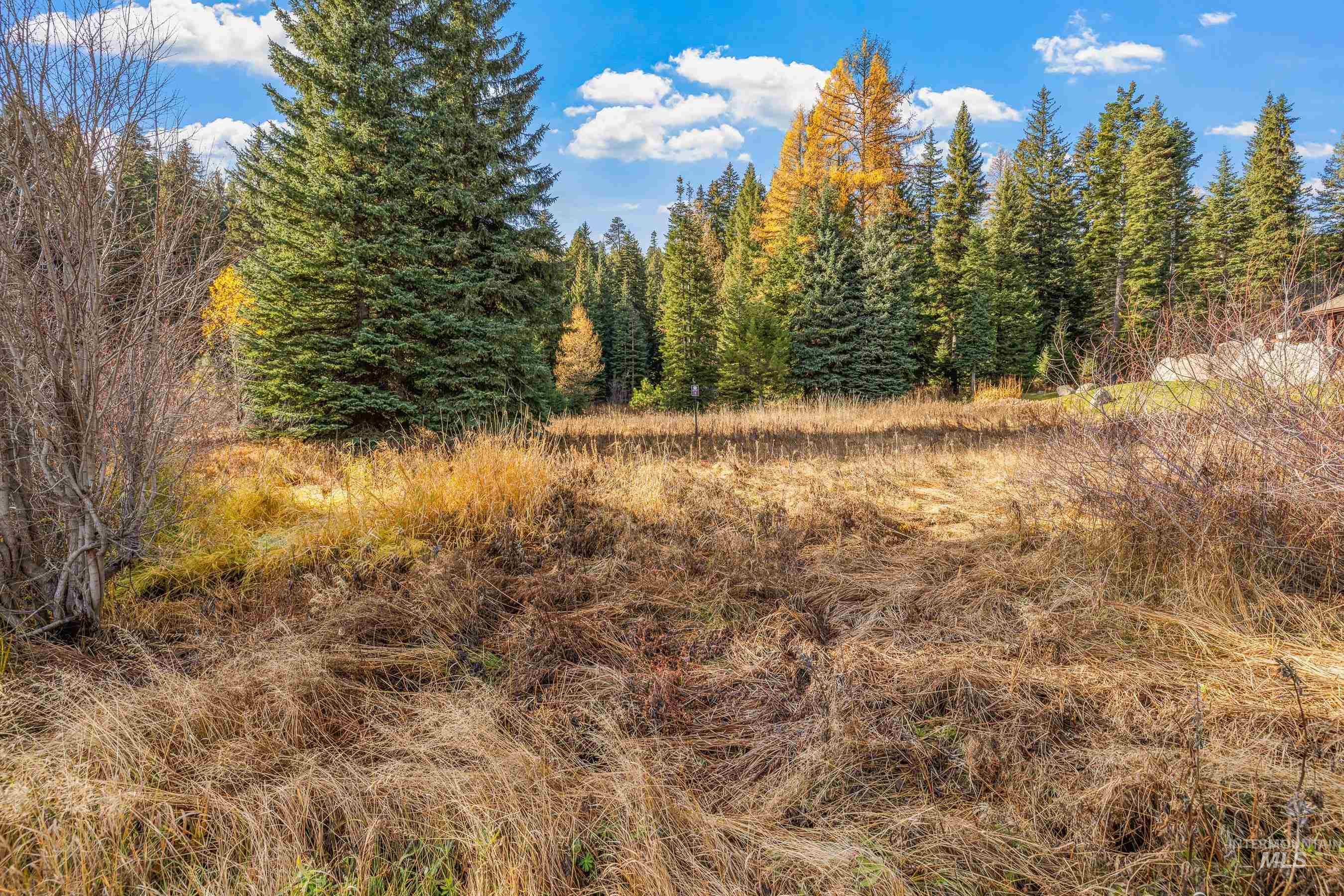 141 Sugarloaf Property Photo 11