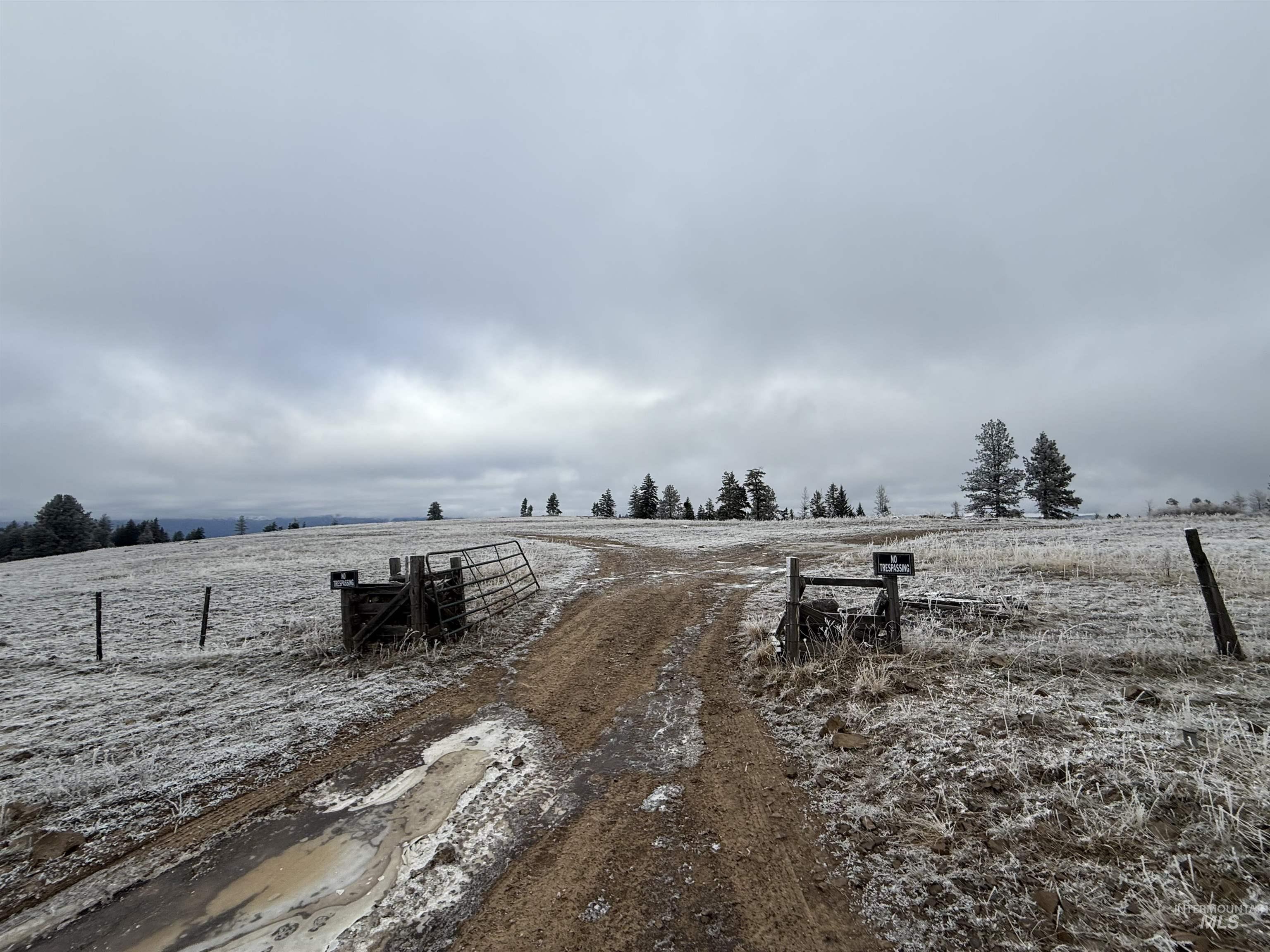Tbd Billy Creek Rd. Property Photo 3