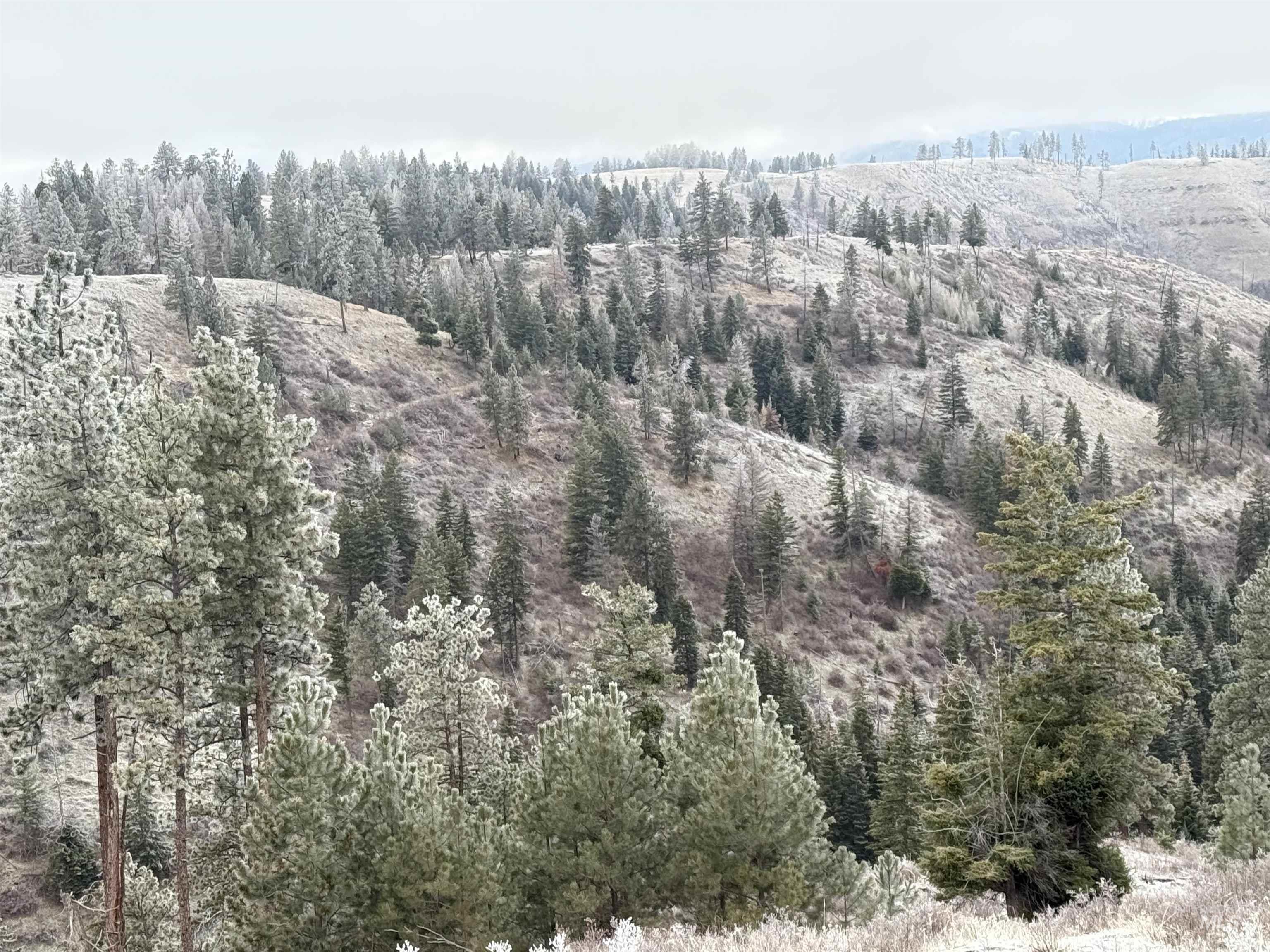 Tbd Billy Creek Rd. Property Photo 6