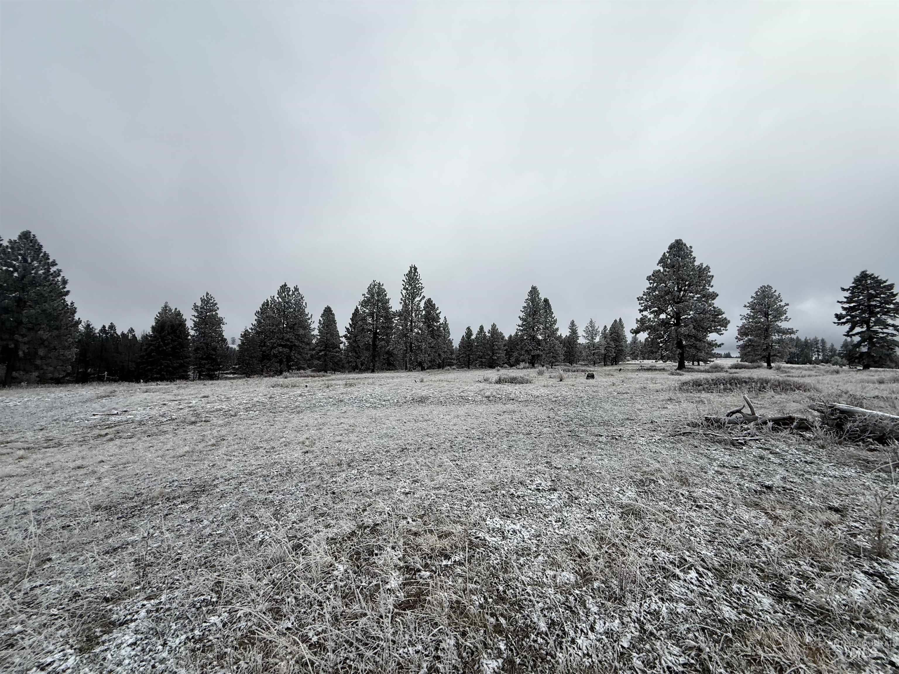 Tbd Billy Creek Rd. Property Photo 7