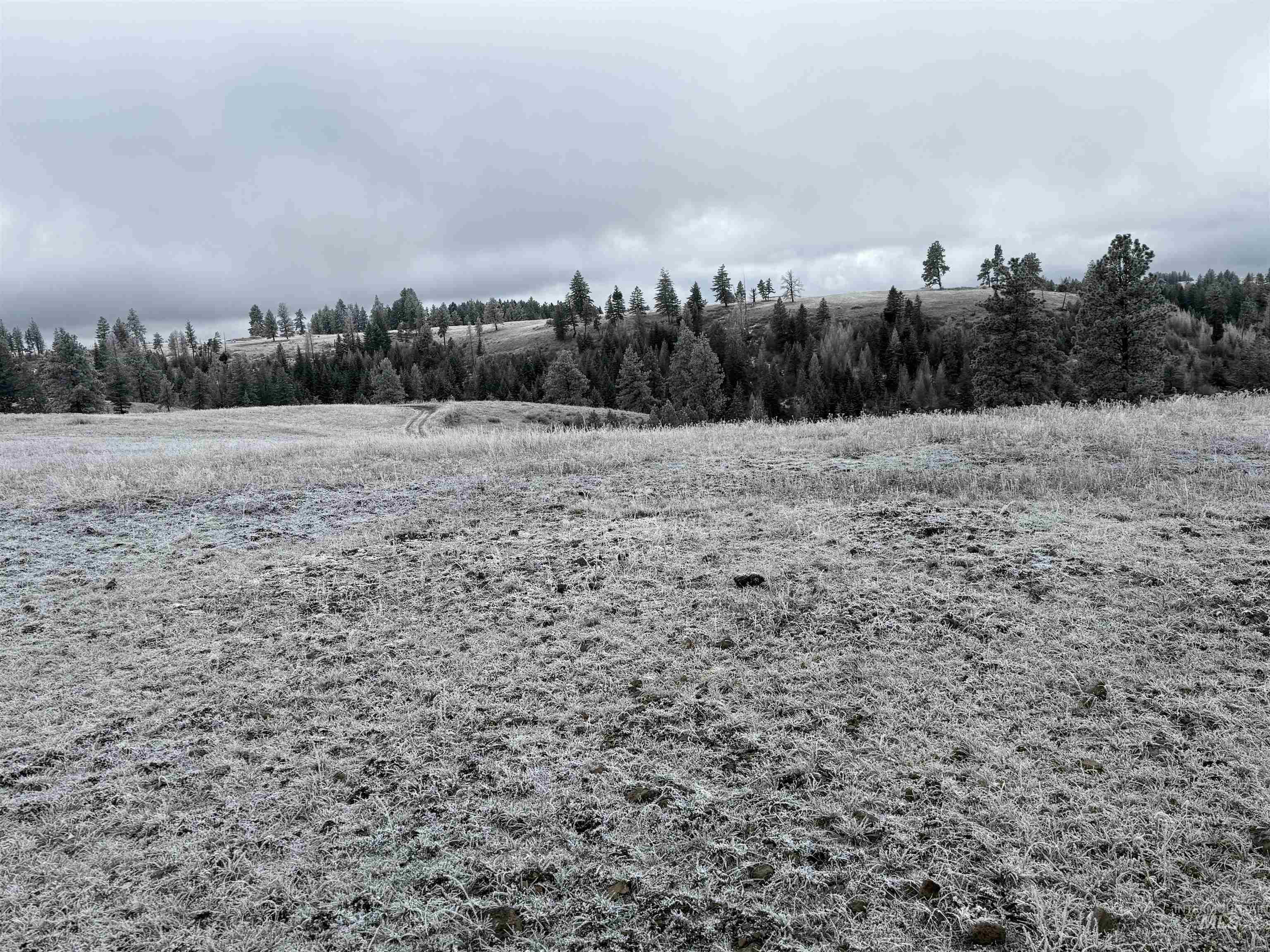 Tbd Billy Creek Rd. Property Photo 8
