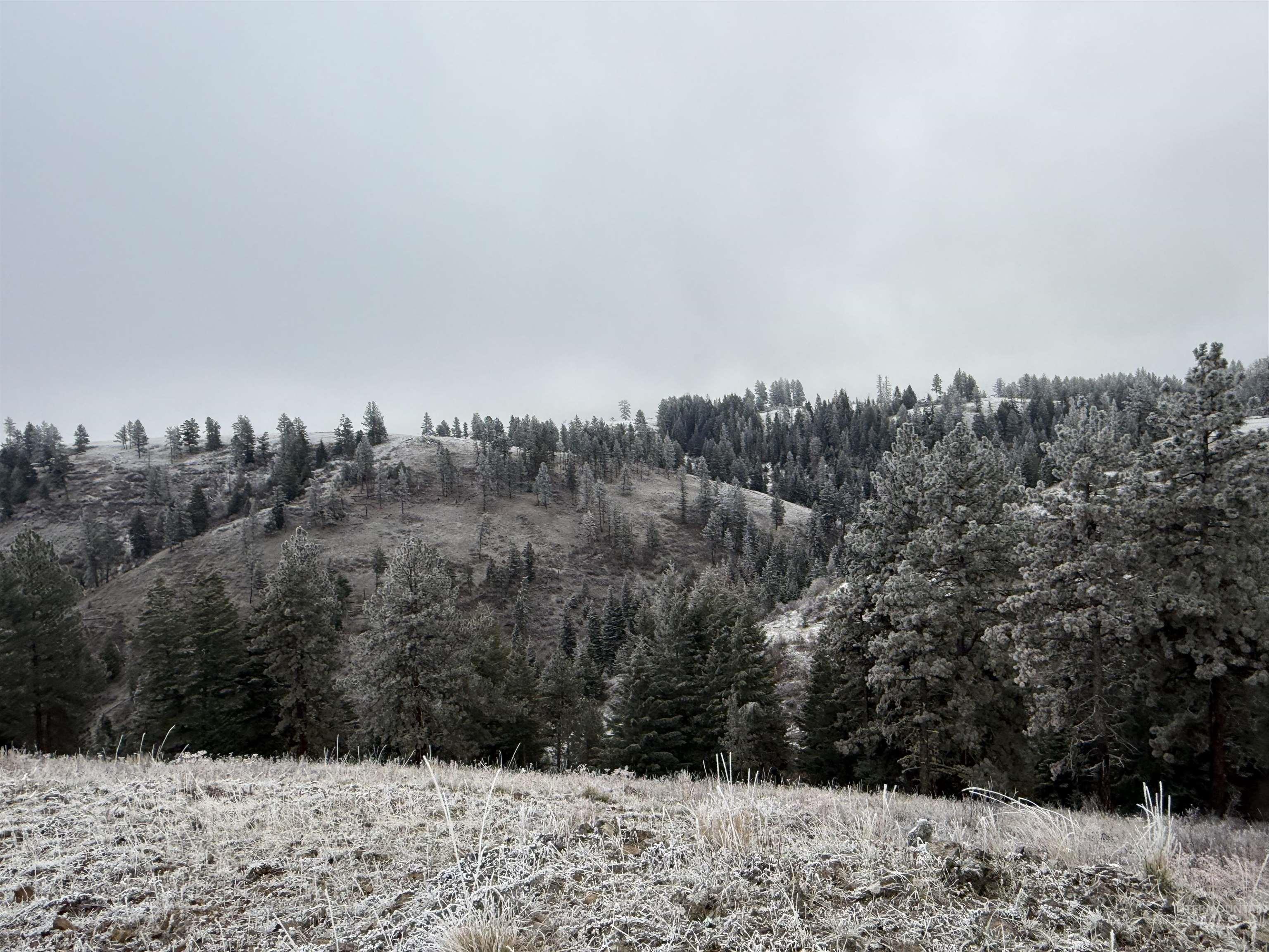 Tbd Billy Creek Rd. Property Photo 9