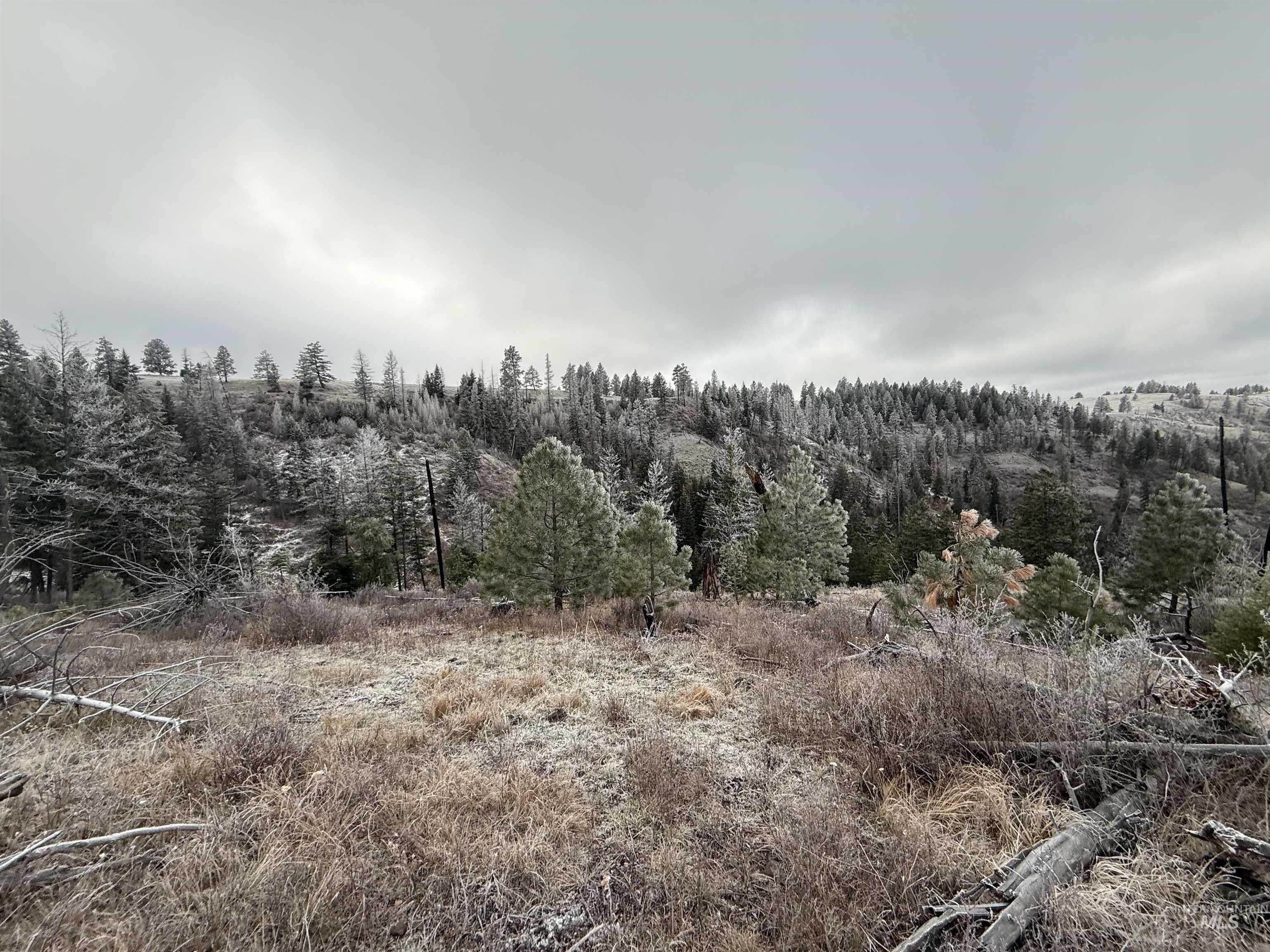 Tbd Billy Creek Rd. Property Photo 10