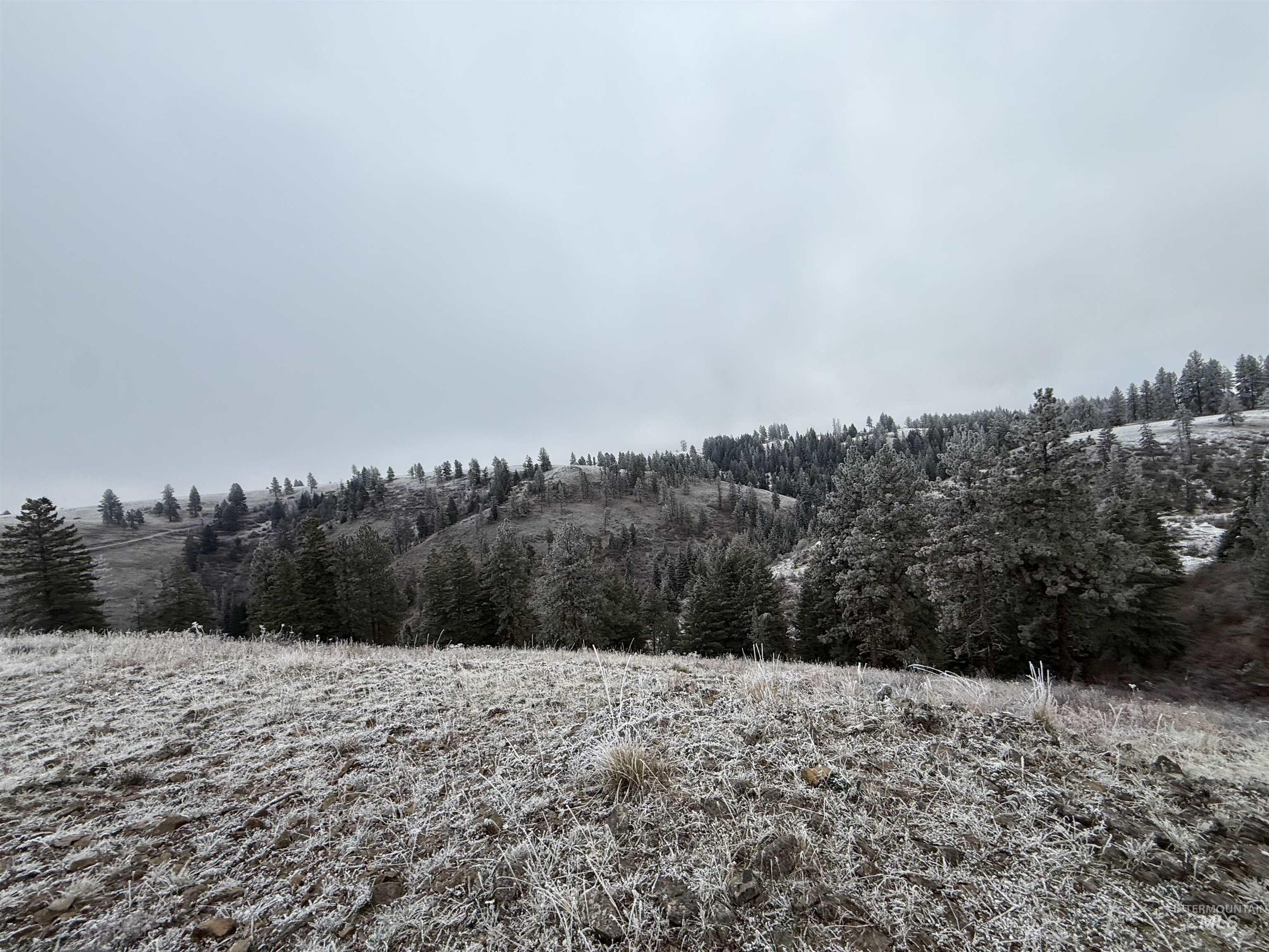 Tbd Billy Creek Rd. Property Photo 11