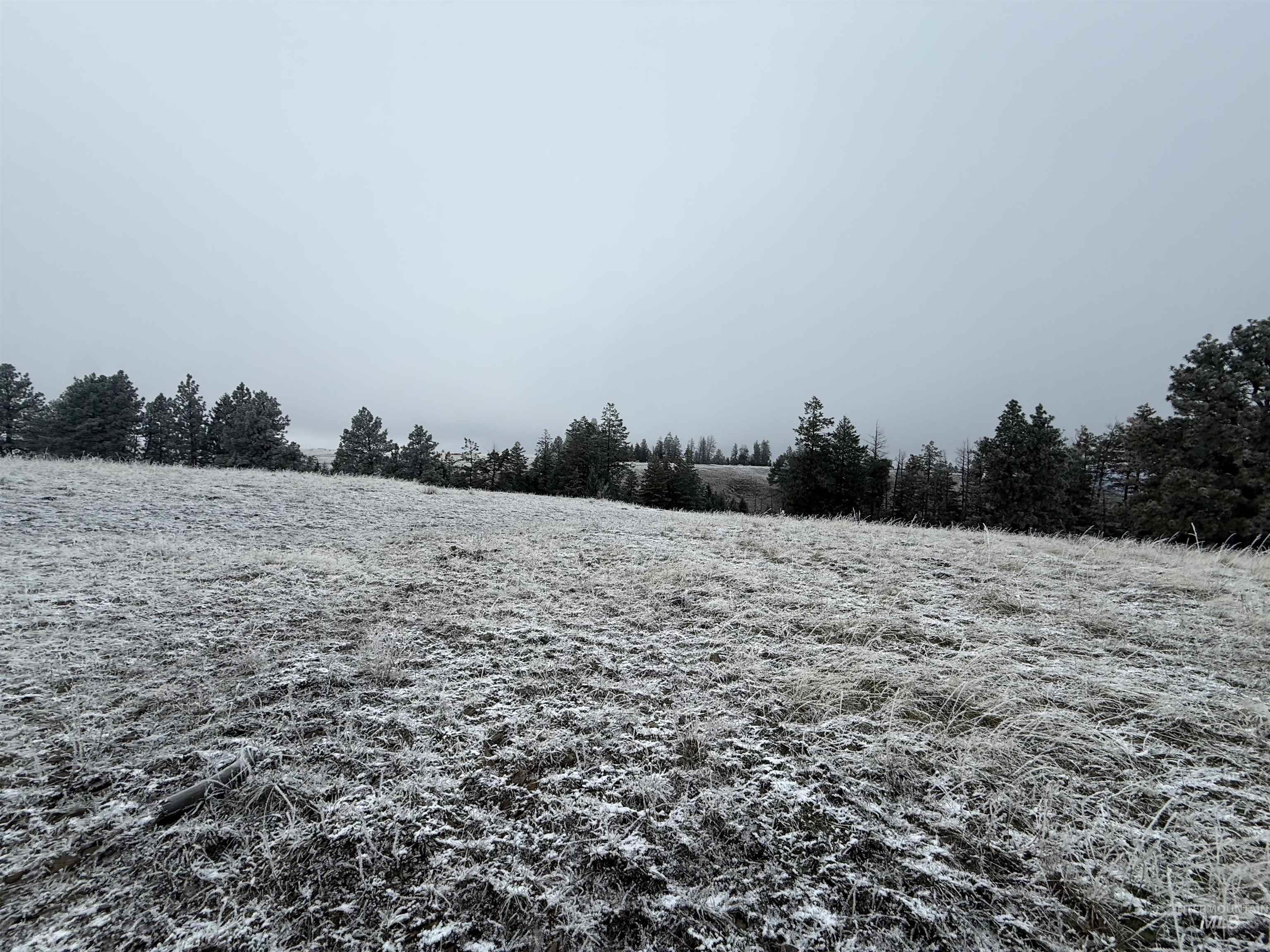 Tbd Billy Creek Rd. Property Photo 12