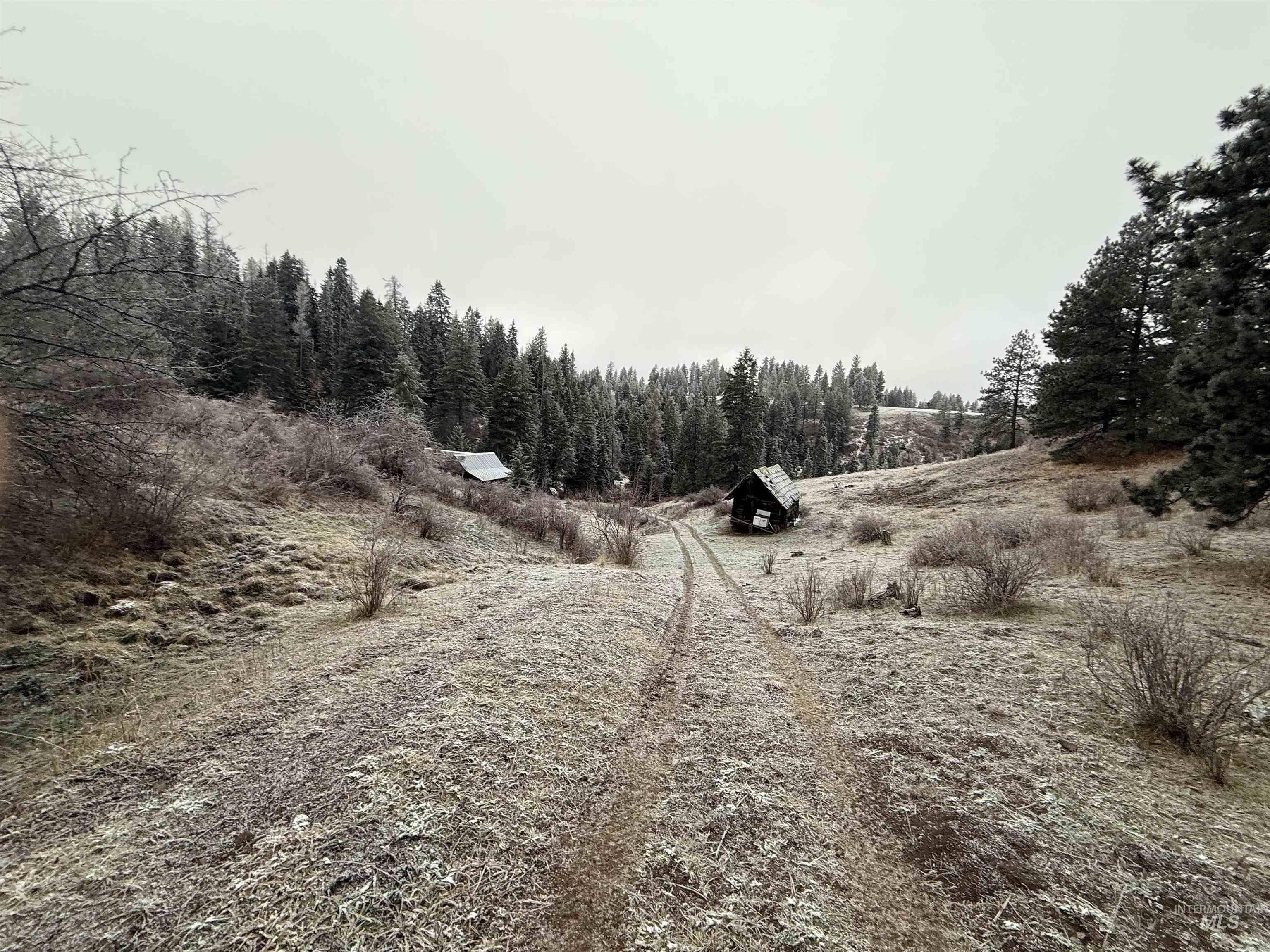 Tbd Billy Creek Rd. Property Photo 13