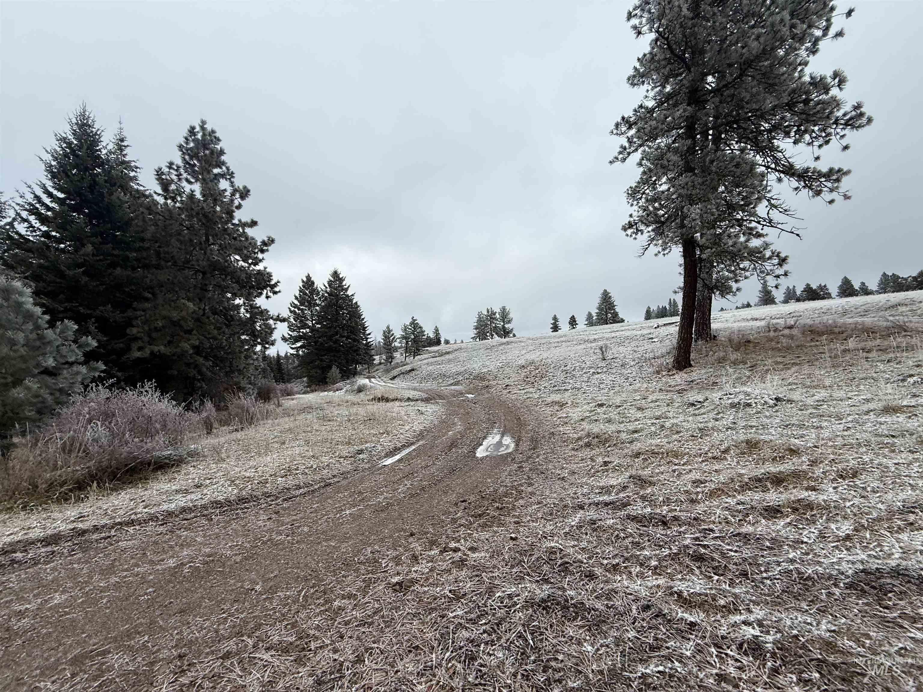 Tbd Billy Creek Rd. Property Photo 16