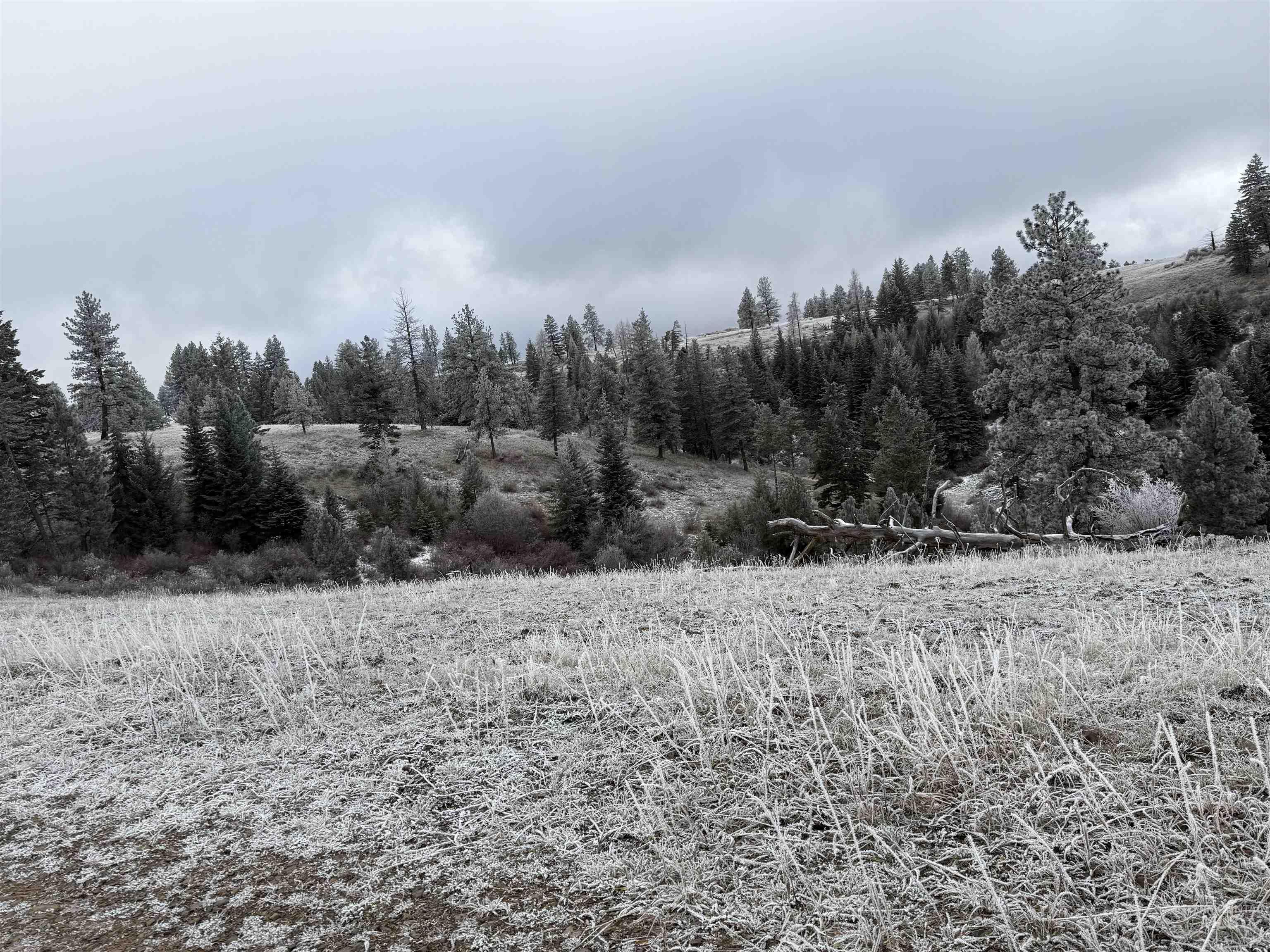 Tbd Billy Creek Rd. Property Photo 18