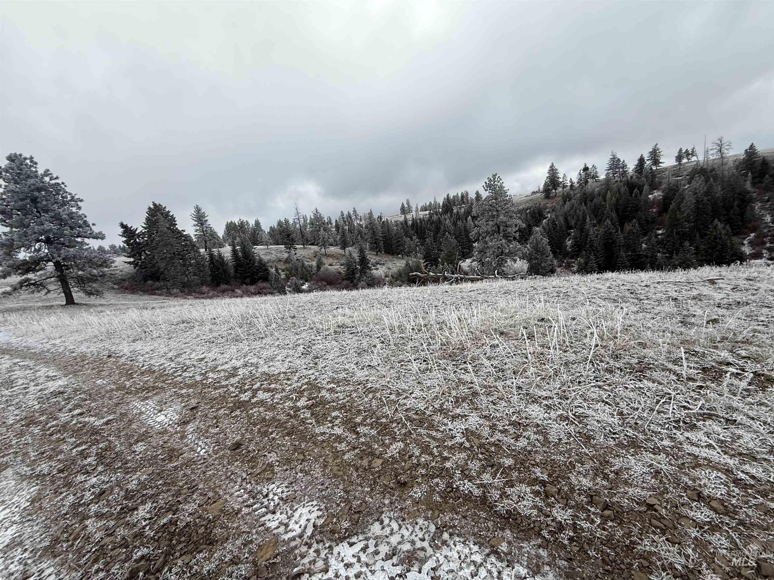 Tbd Billy Creek Rd. Property Photo 19