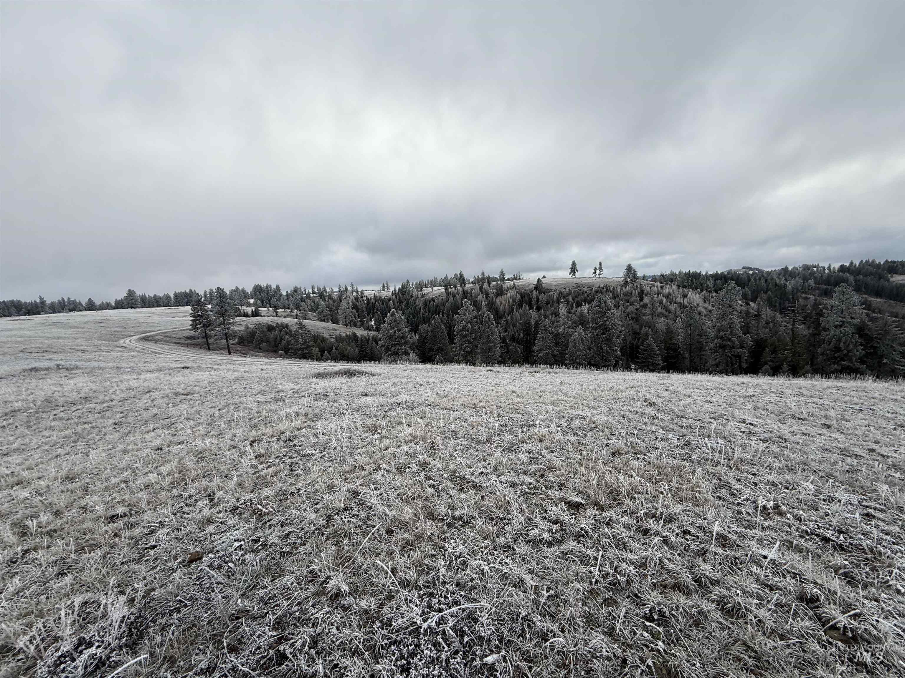 Tbd Billy Creek Rd. Property Photo 20