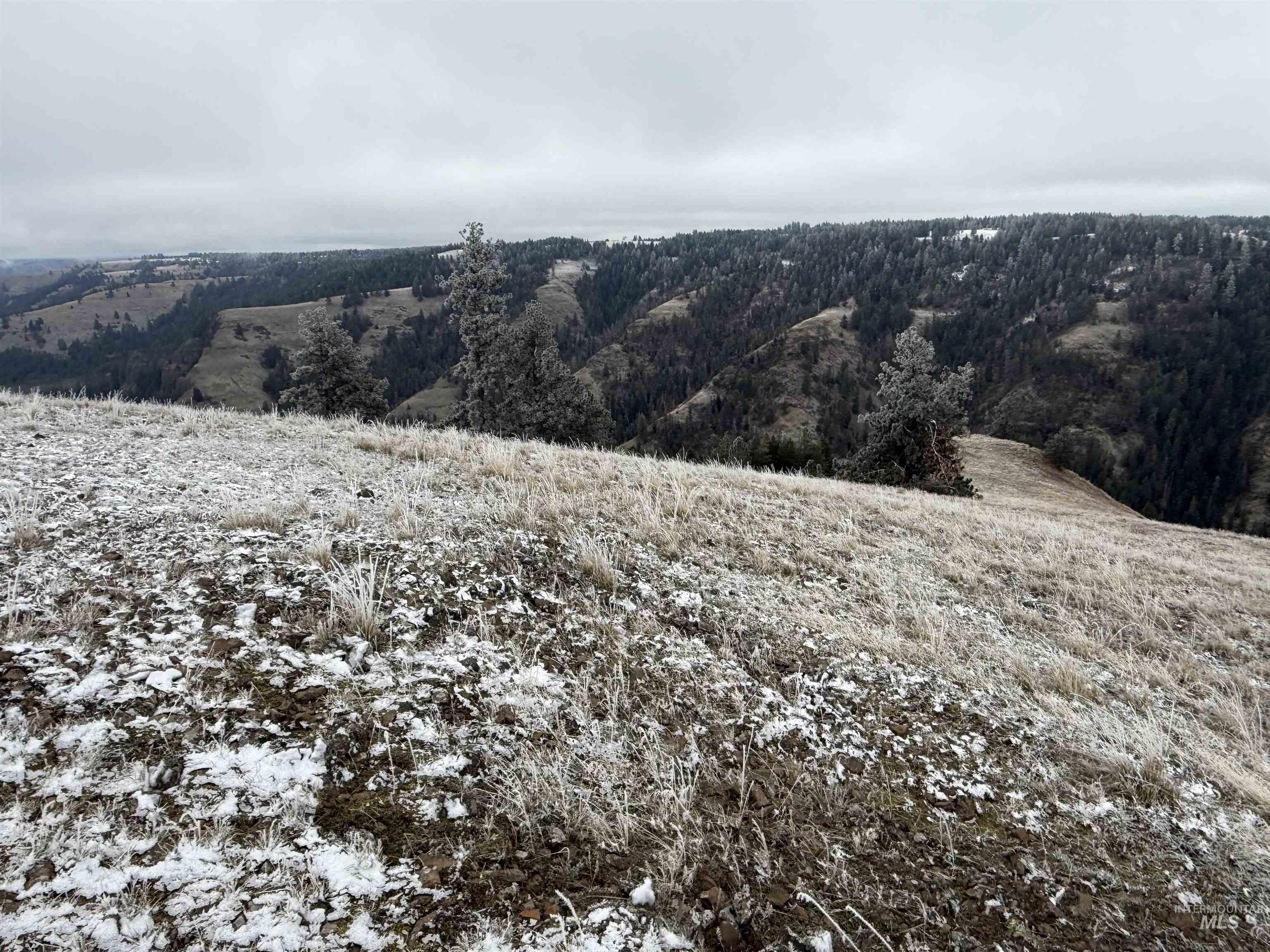 Tbd Billy Creek Rd. Property Photo 23