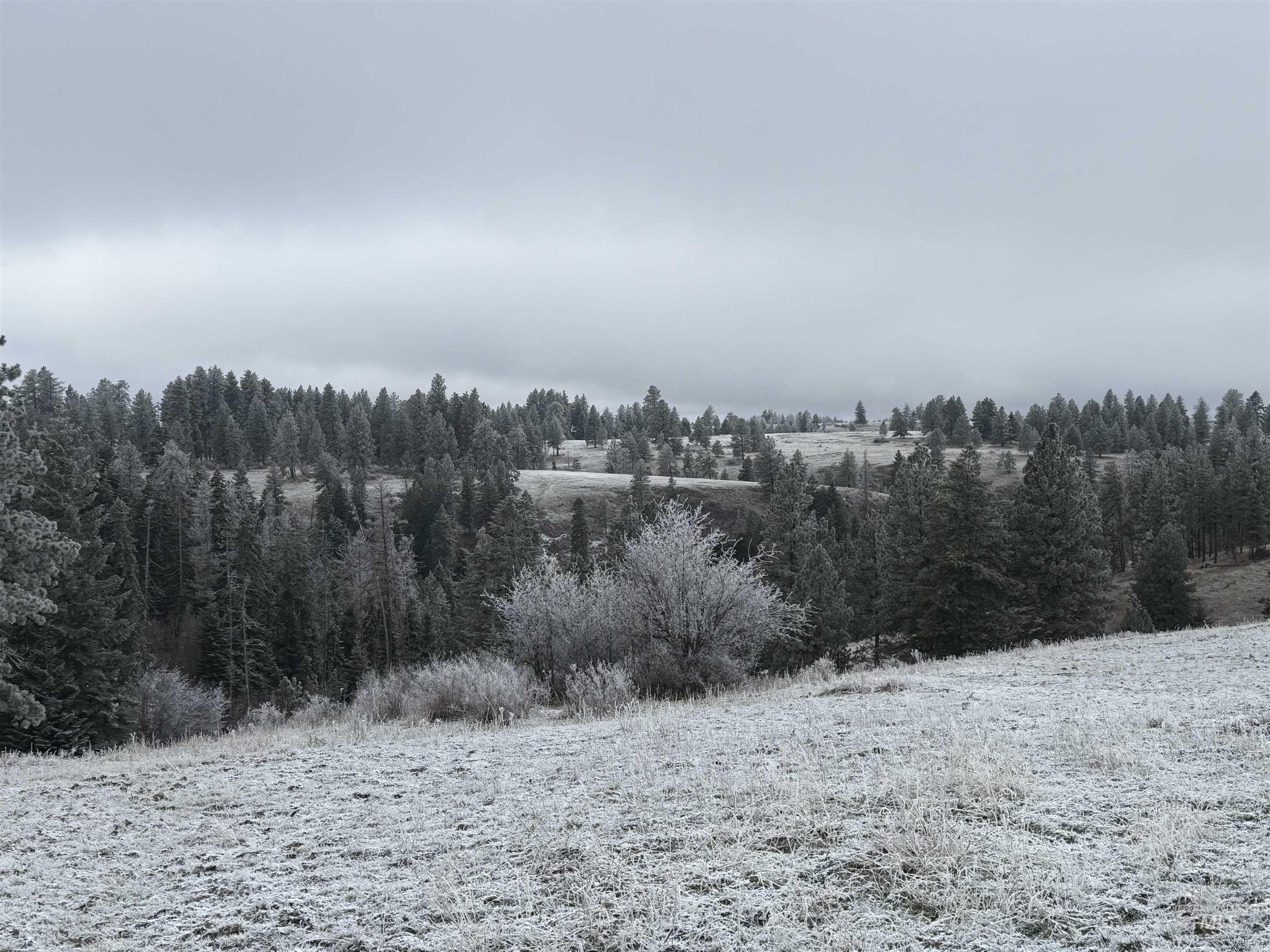 Tbd Billy Creek Rd. Property Photo 25