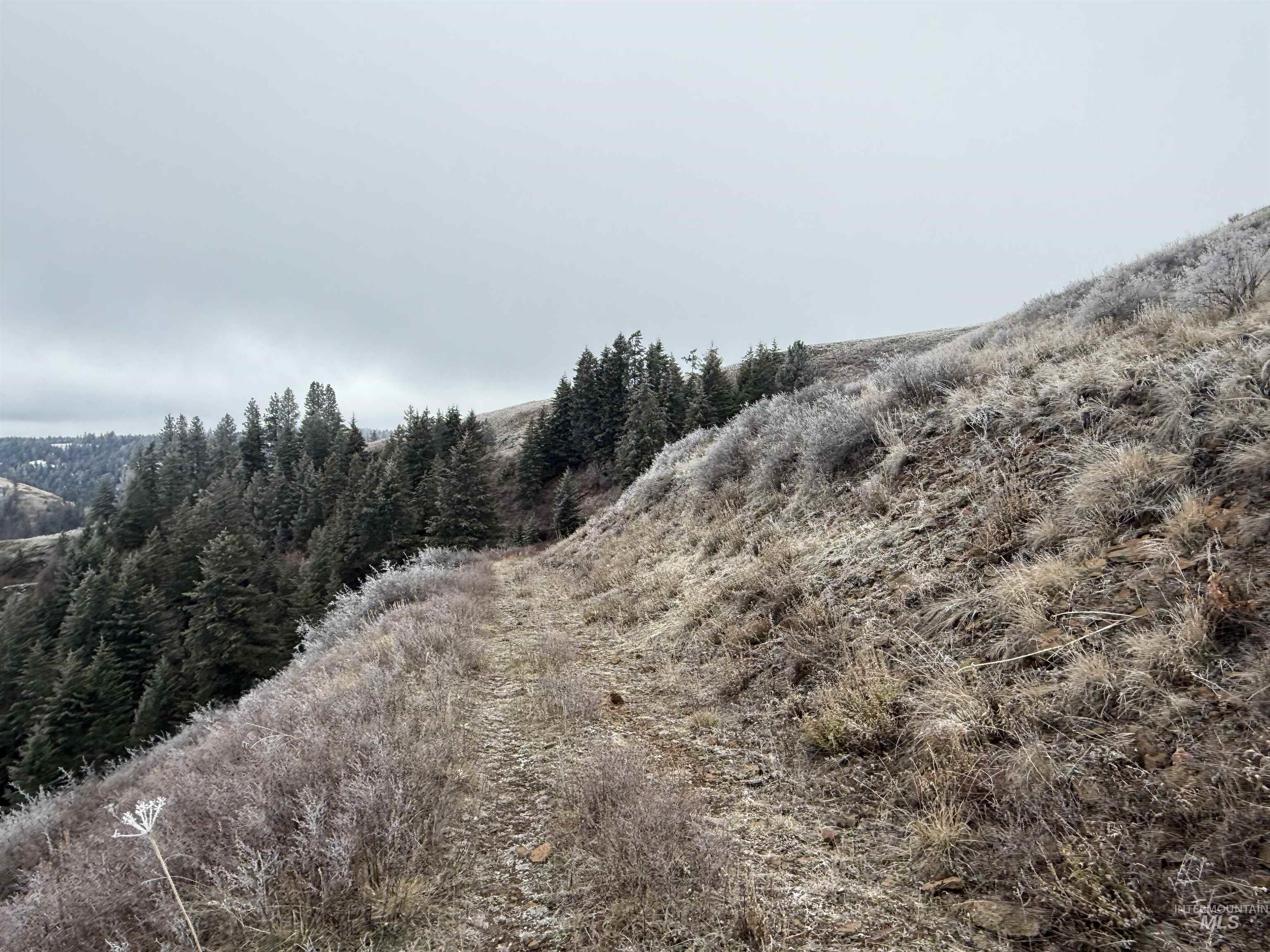 Tbd Billy Creek Rd. Property Photo 26