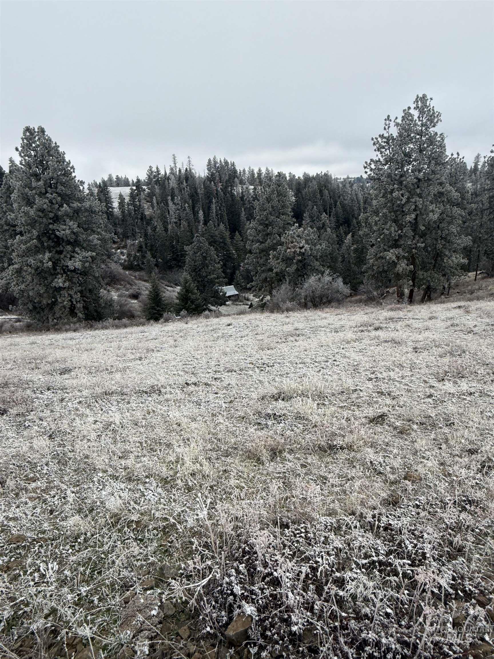 Tbd Billy Creek Rd. Property Photo 28