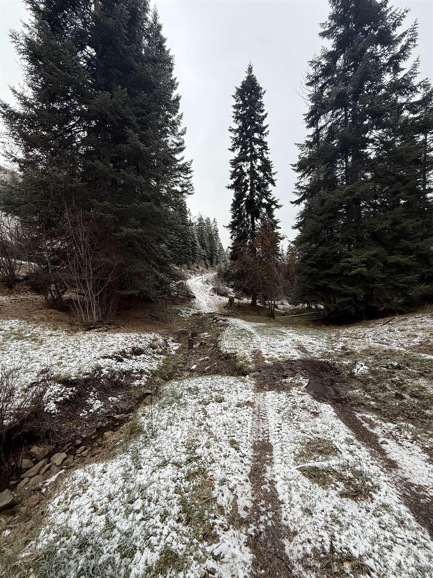 Tbd Billy Creek Rd. Property Photo 29