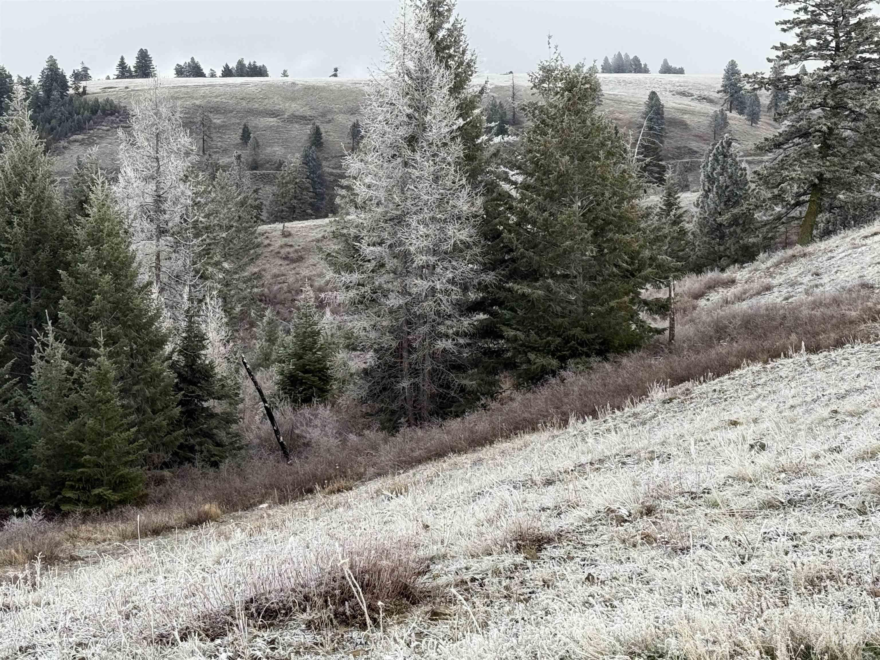 Tbd Billy Creek Rd. Property Photo 30