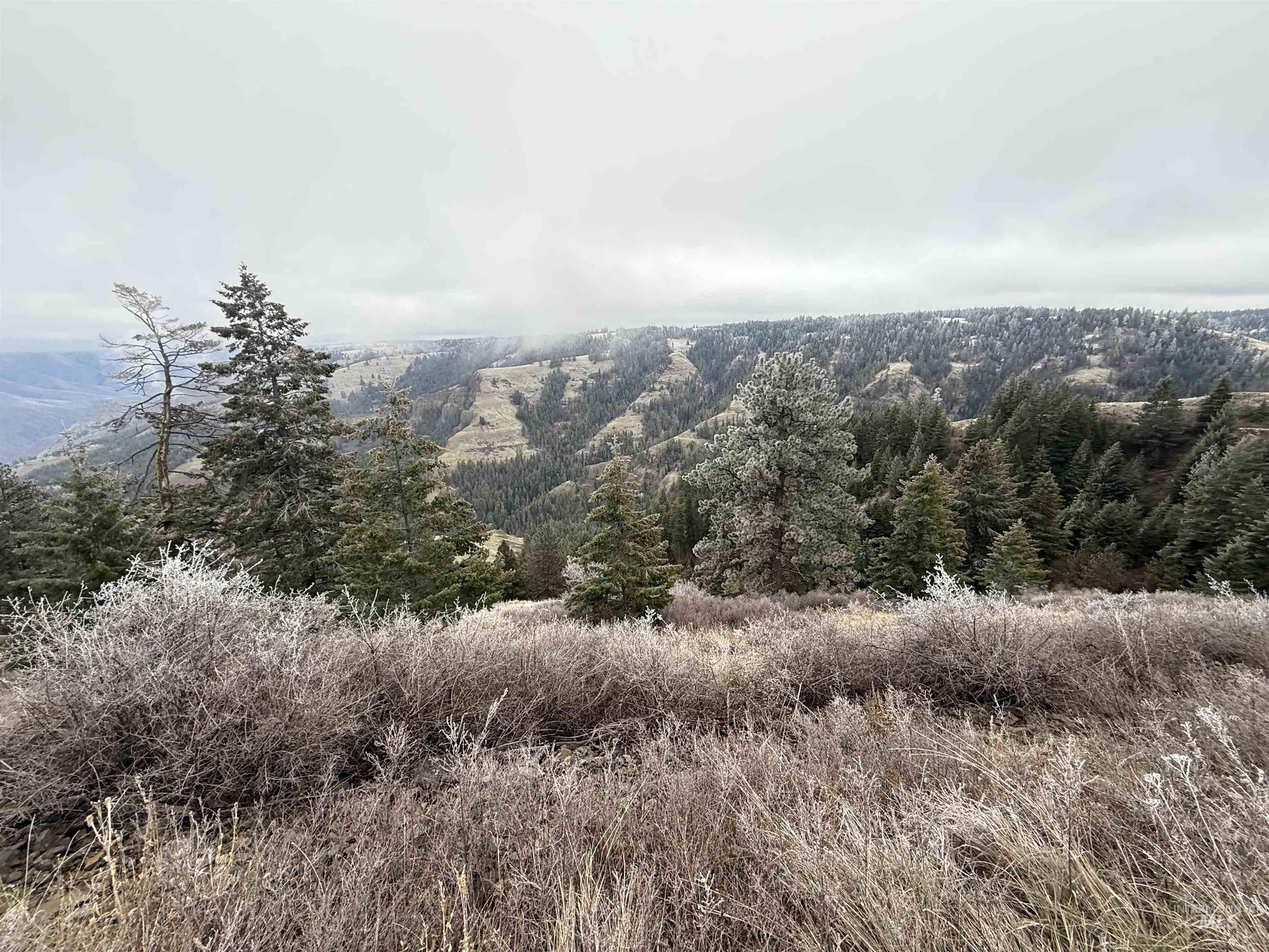 Tbd Billy Creek Rd. Property Photo 31
