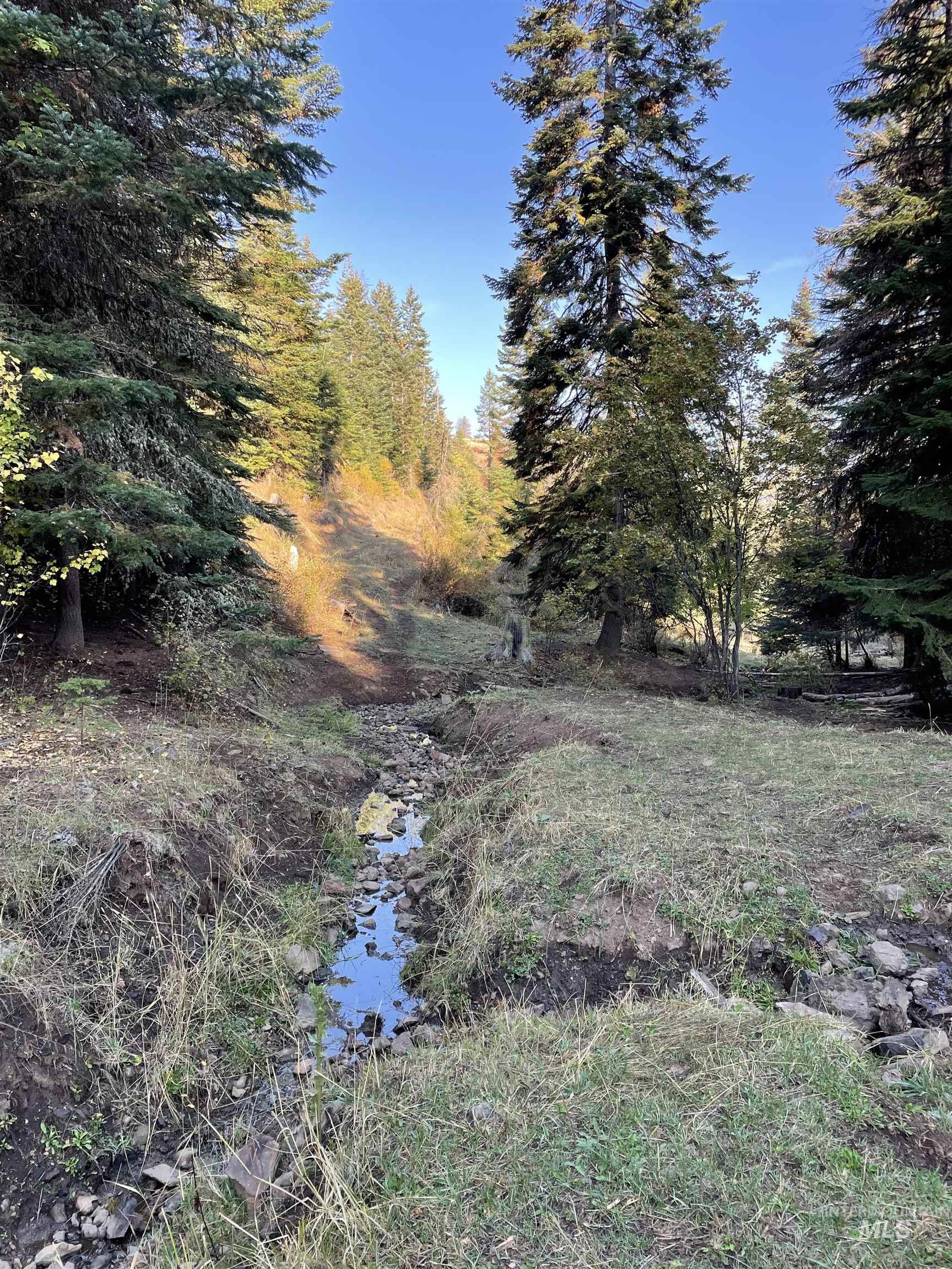 Tbd Billy Creek Rd. Property Photo 33