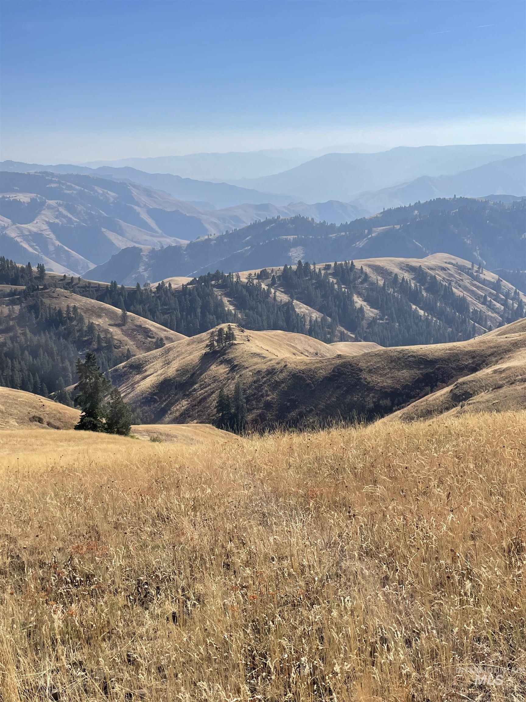 Tbd Billy Creek Rd. Property Photo 35