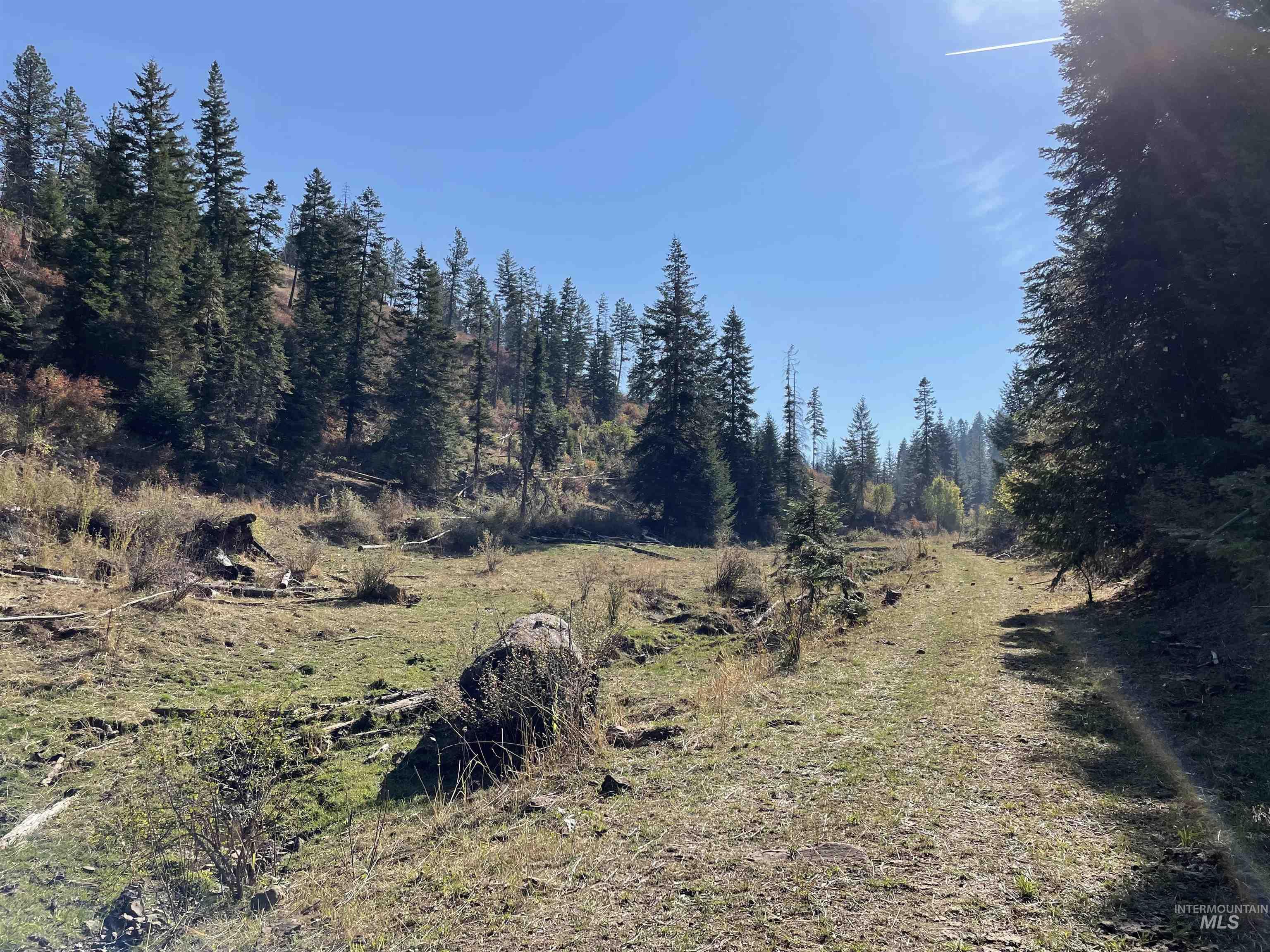 Tbd Billy Creek Rd. Property Photo 36