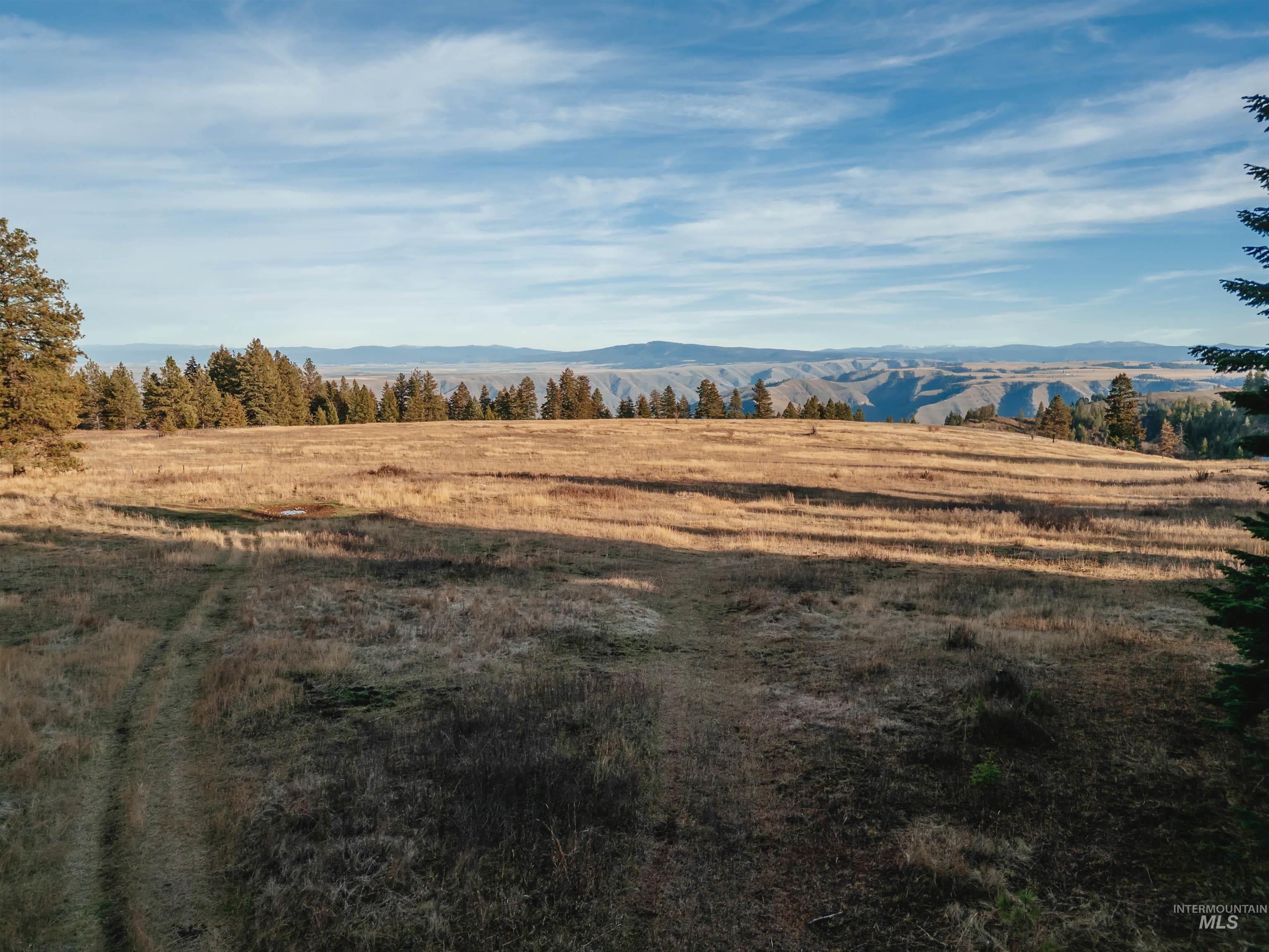 Tbd Boles Road Property Photo 22