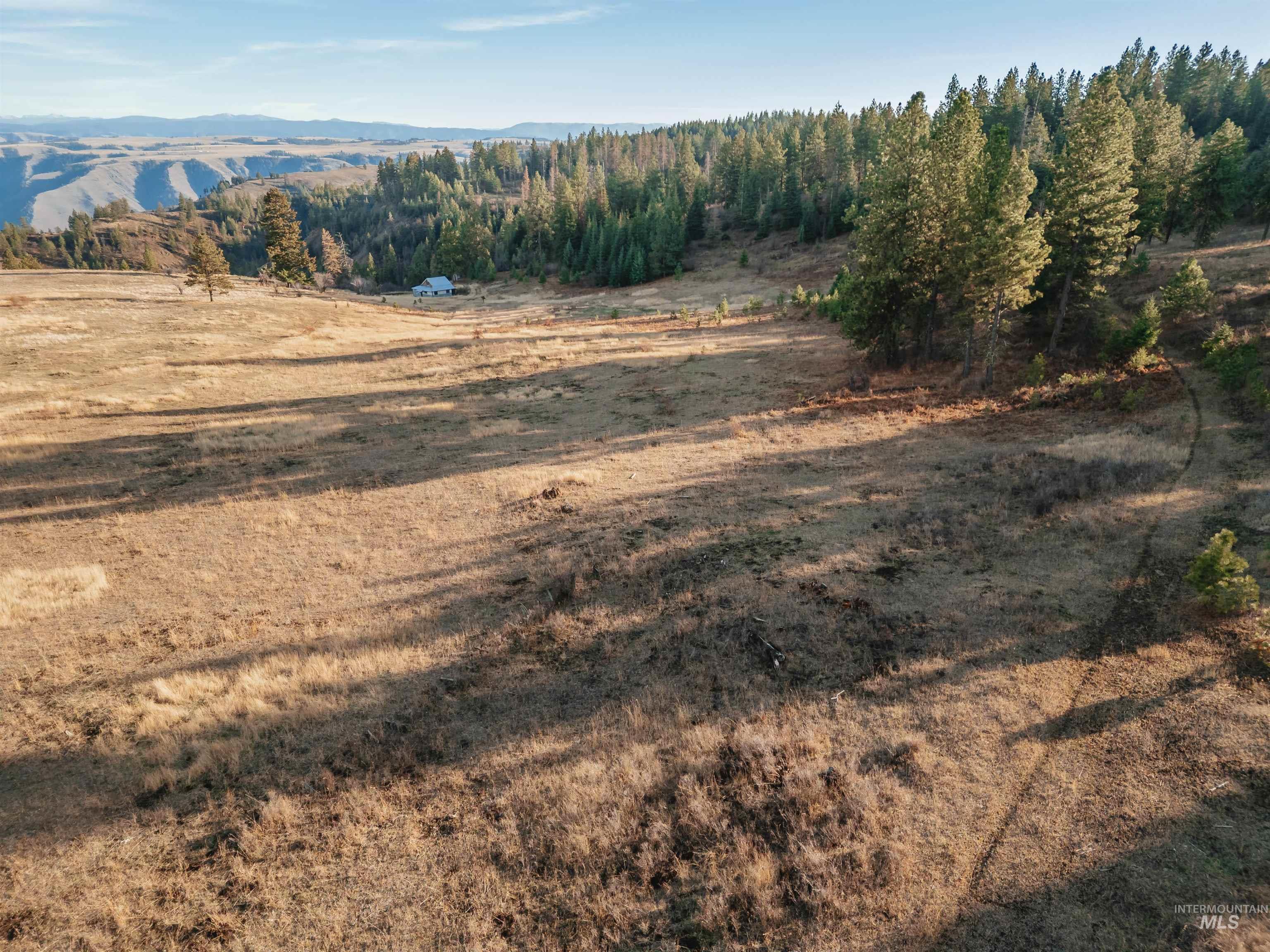 Tbd Boles Road Property Photo 24