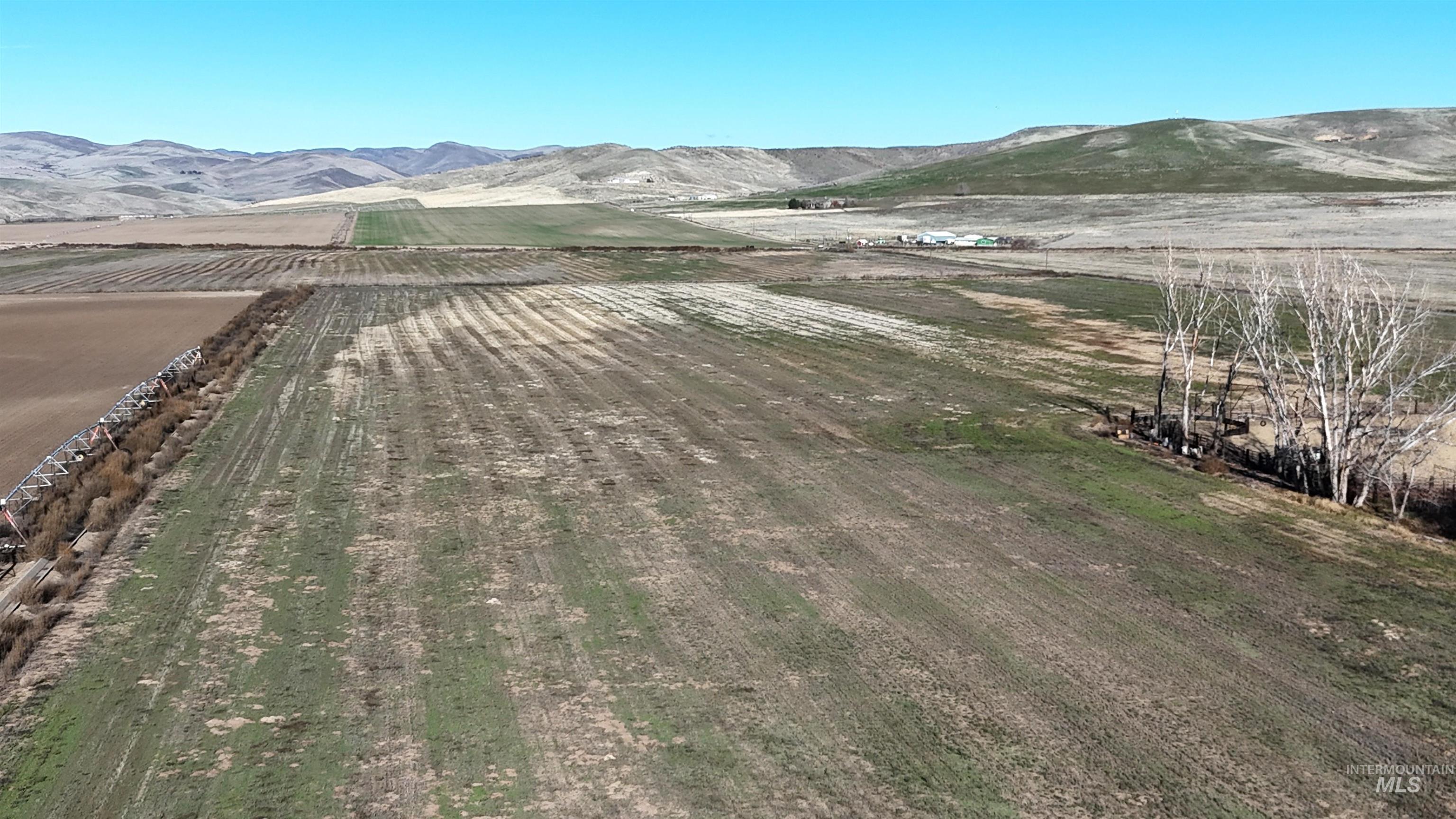 Tbd Indian Head Rd. Property Photo 1