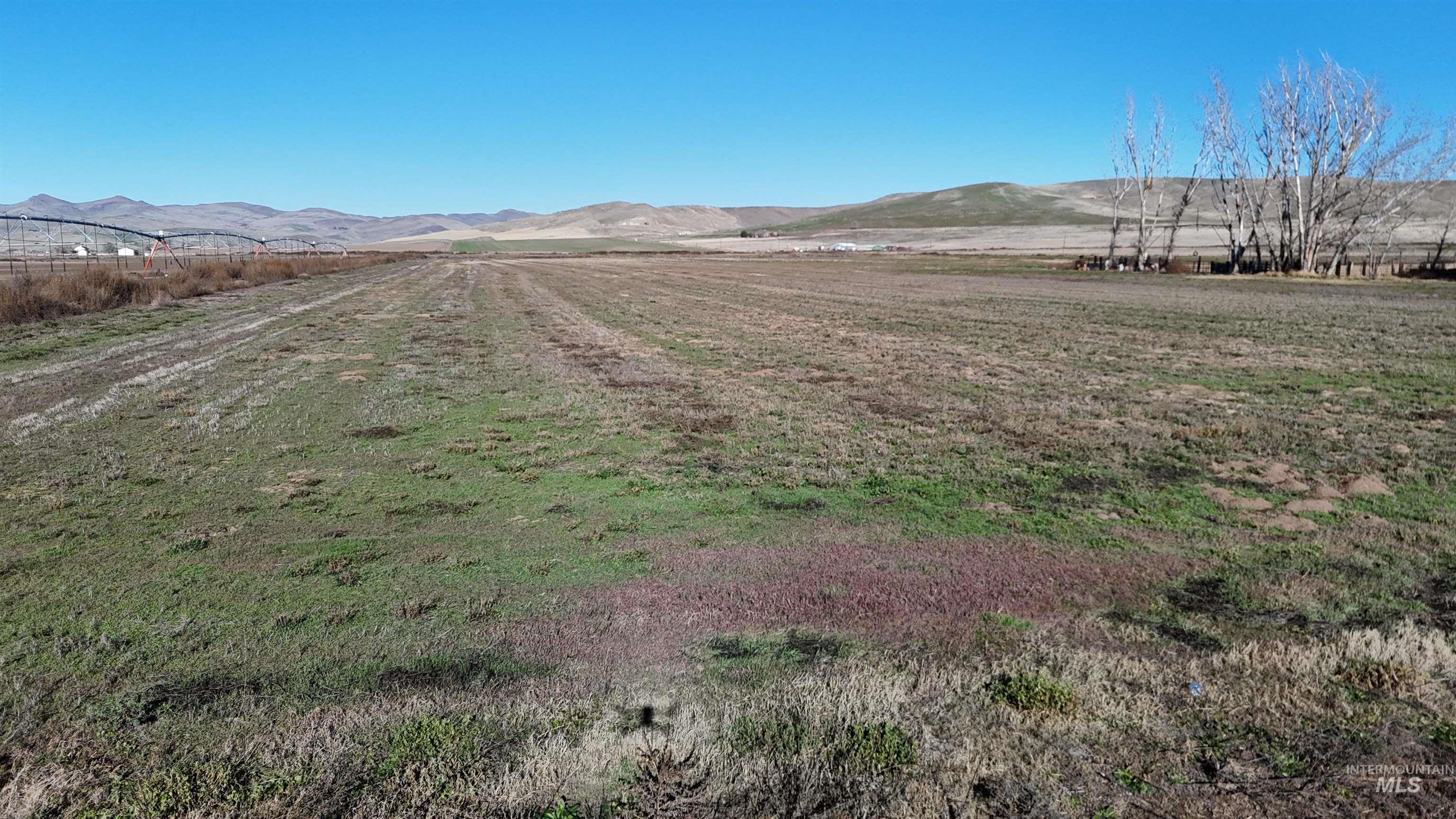 Tbd Indian Head Rd. Property Photo 18