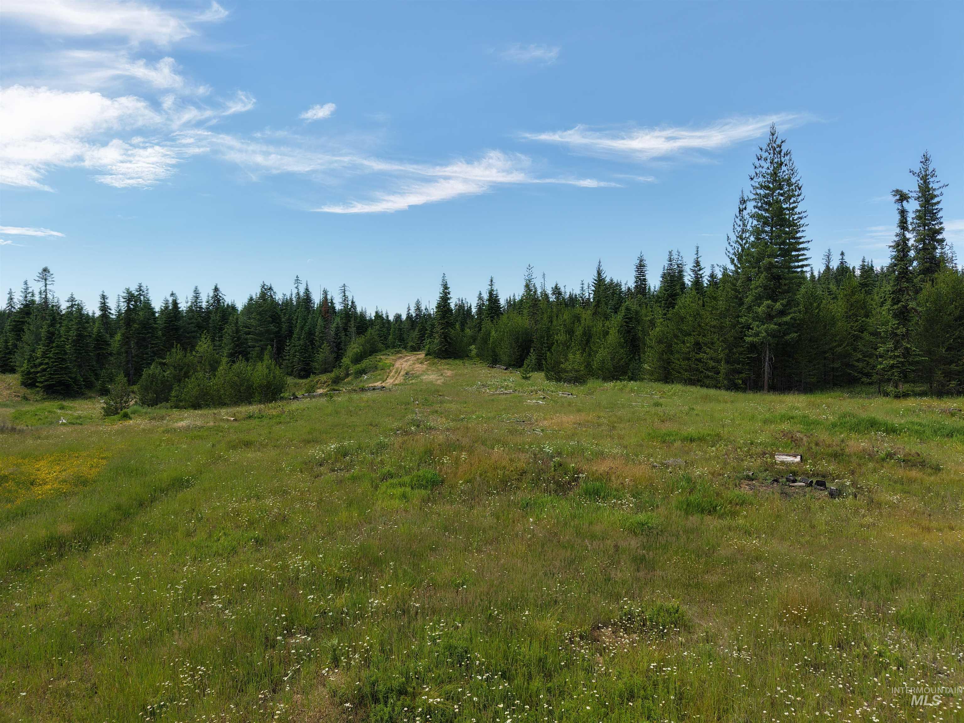 Tbd Highway 11 Property Photo 1