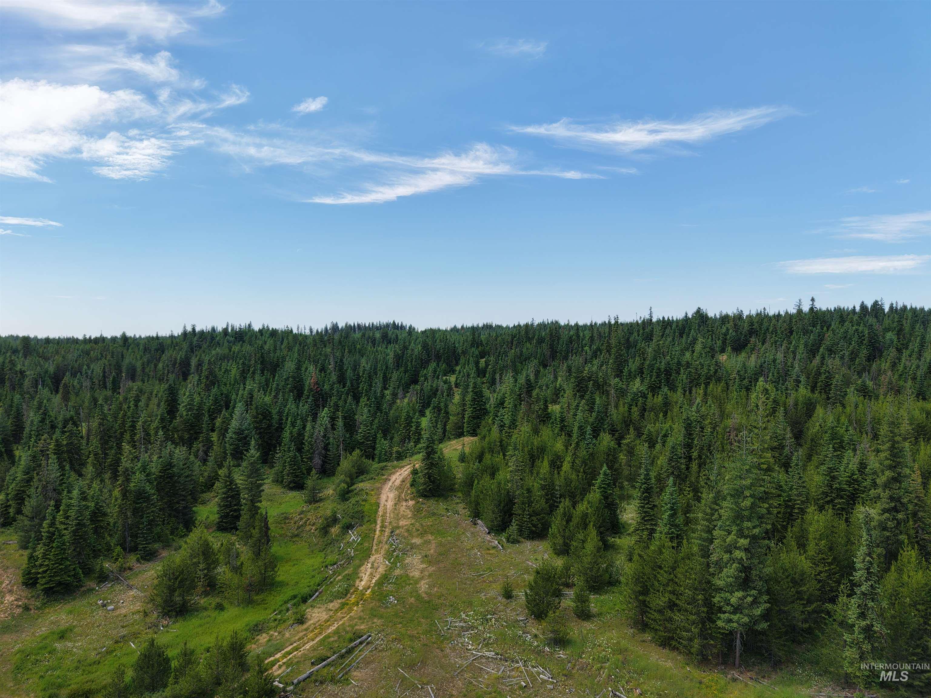 Tbd Highway 11 Property Photo 2