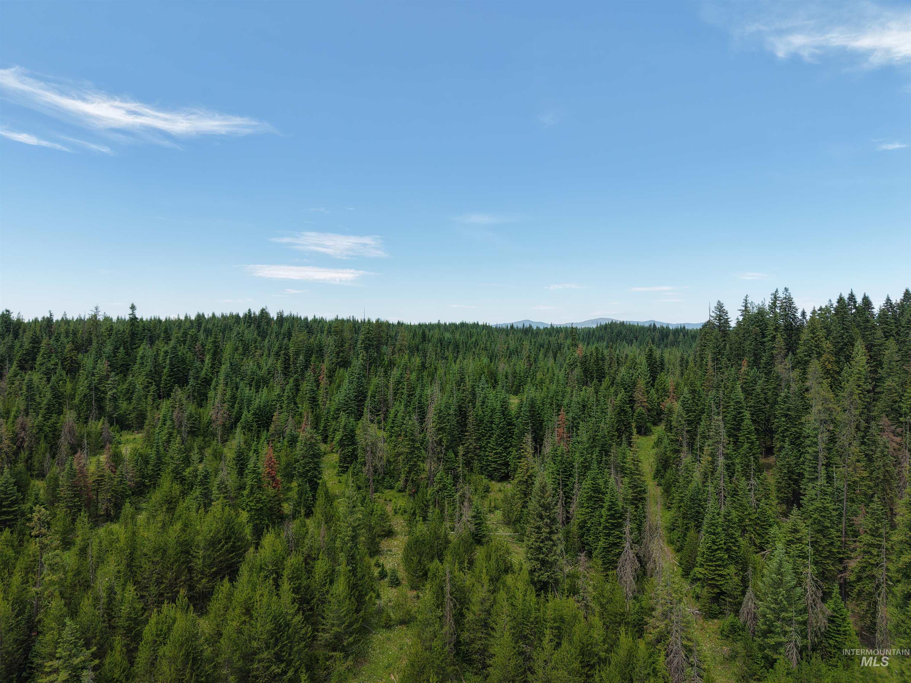 Tbd Highway 11 Property Photo 4