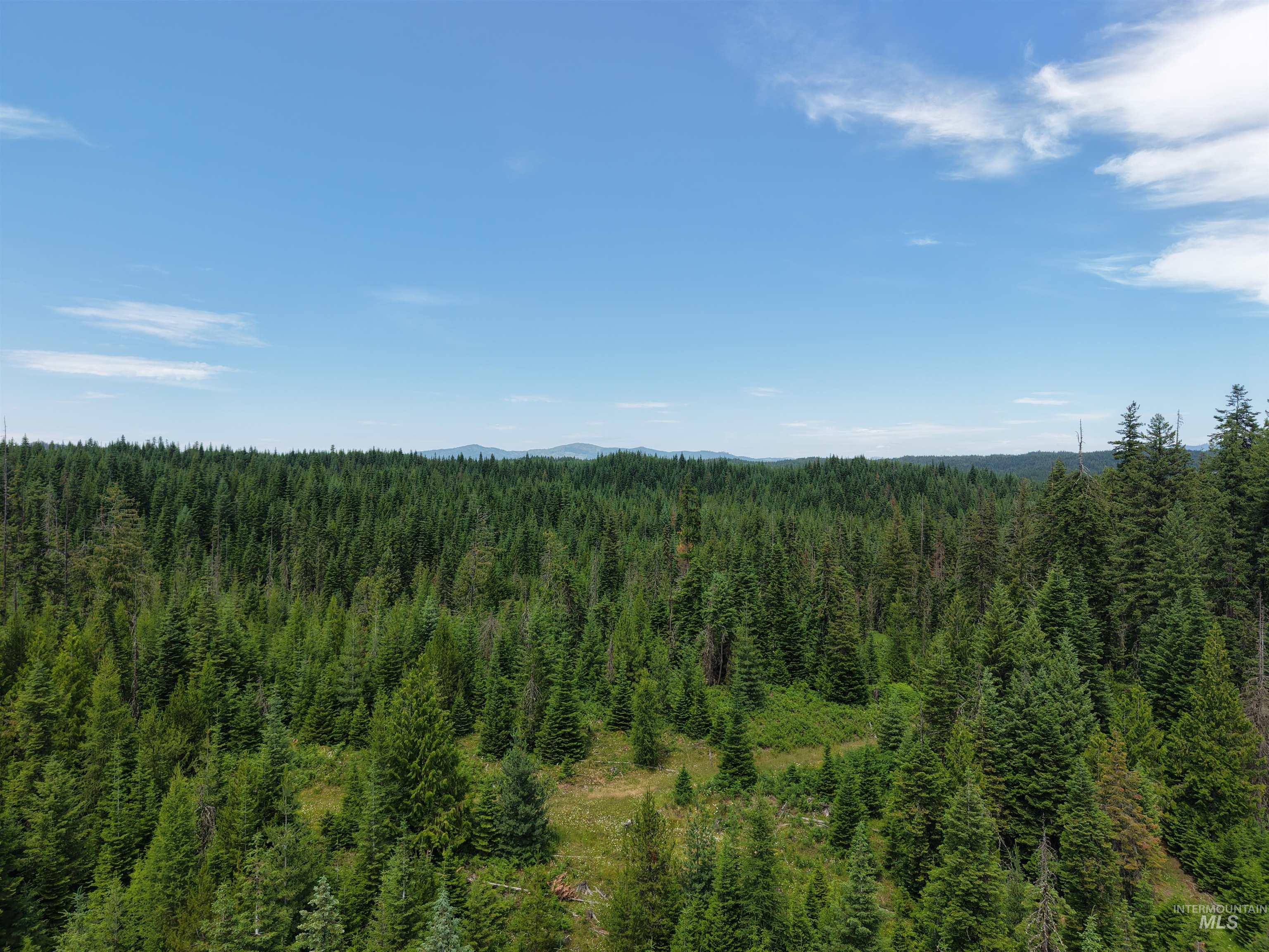 Tbd Highway 11 Property Photo 5