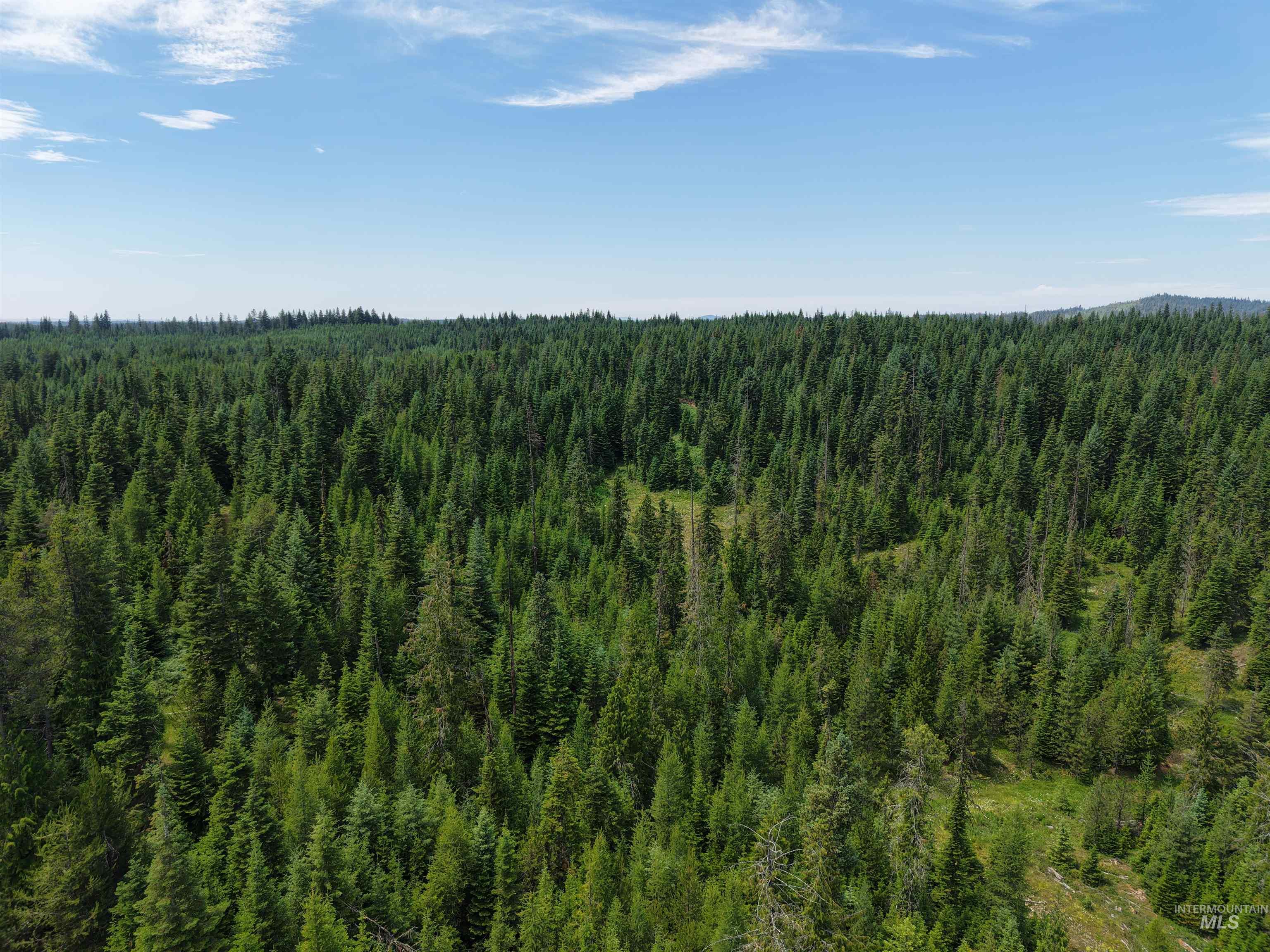 Tbd Highway 11 Property Photo 6