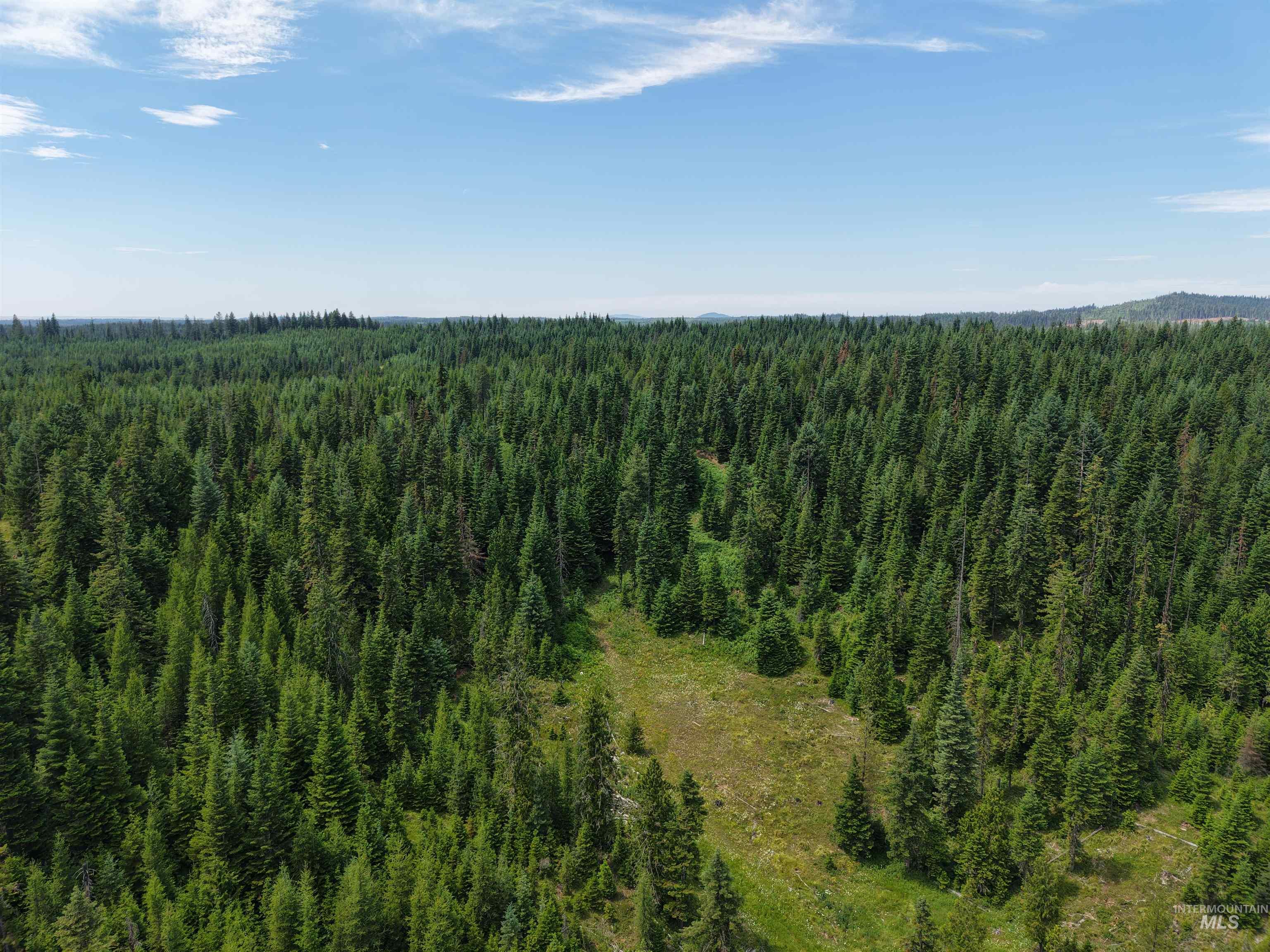 Tbd Highway 11 Property Photo 7